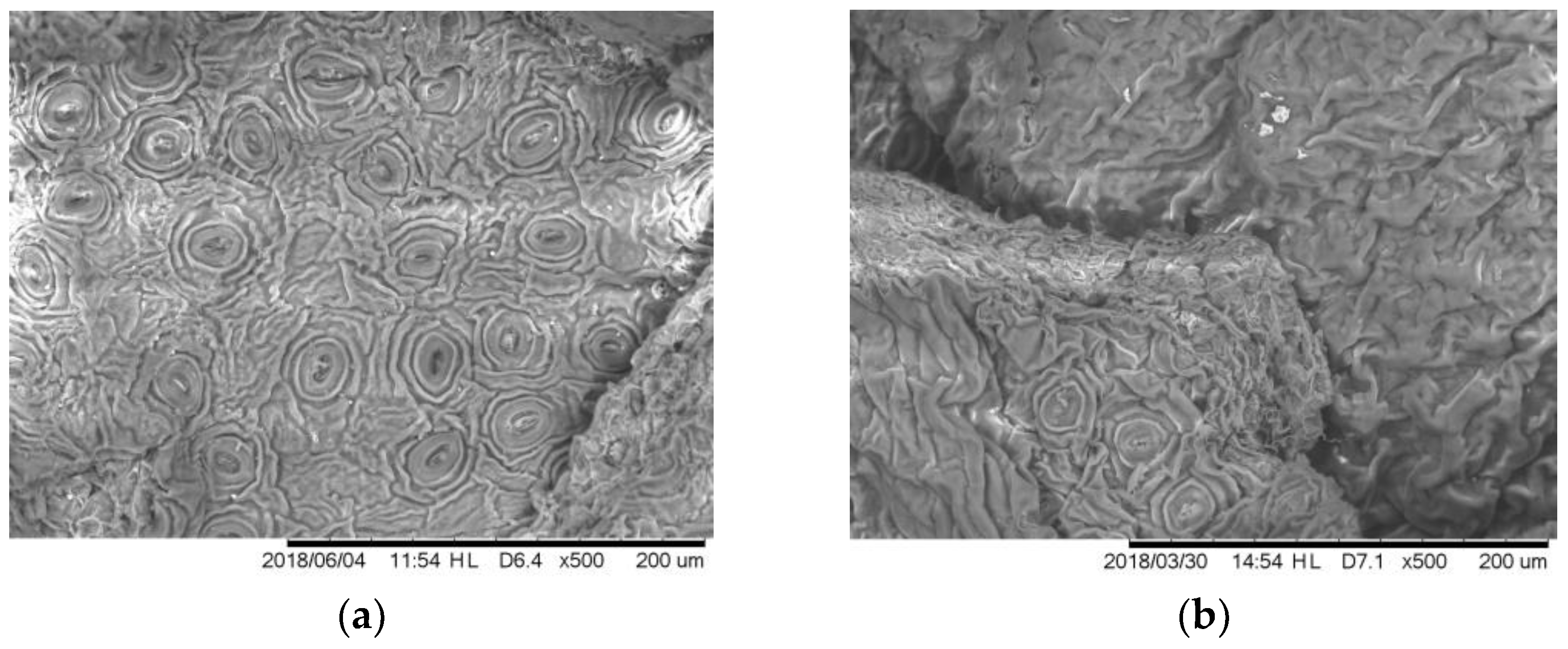 Environments 05 00100 g007
