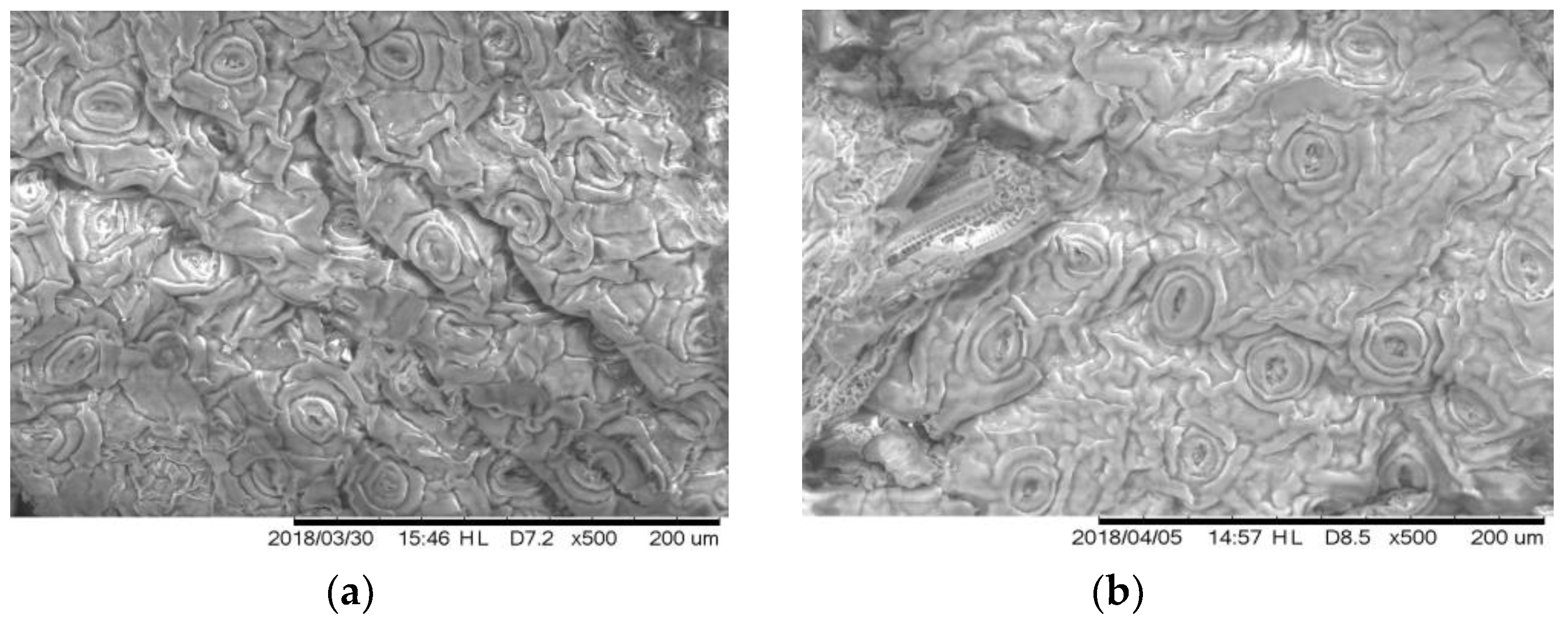 Environments 05 00100 g008