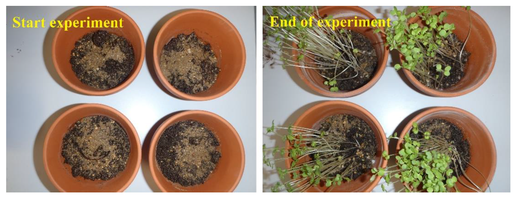 Environments 05 00111 g004 Environments 05 00111 g004