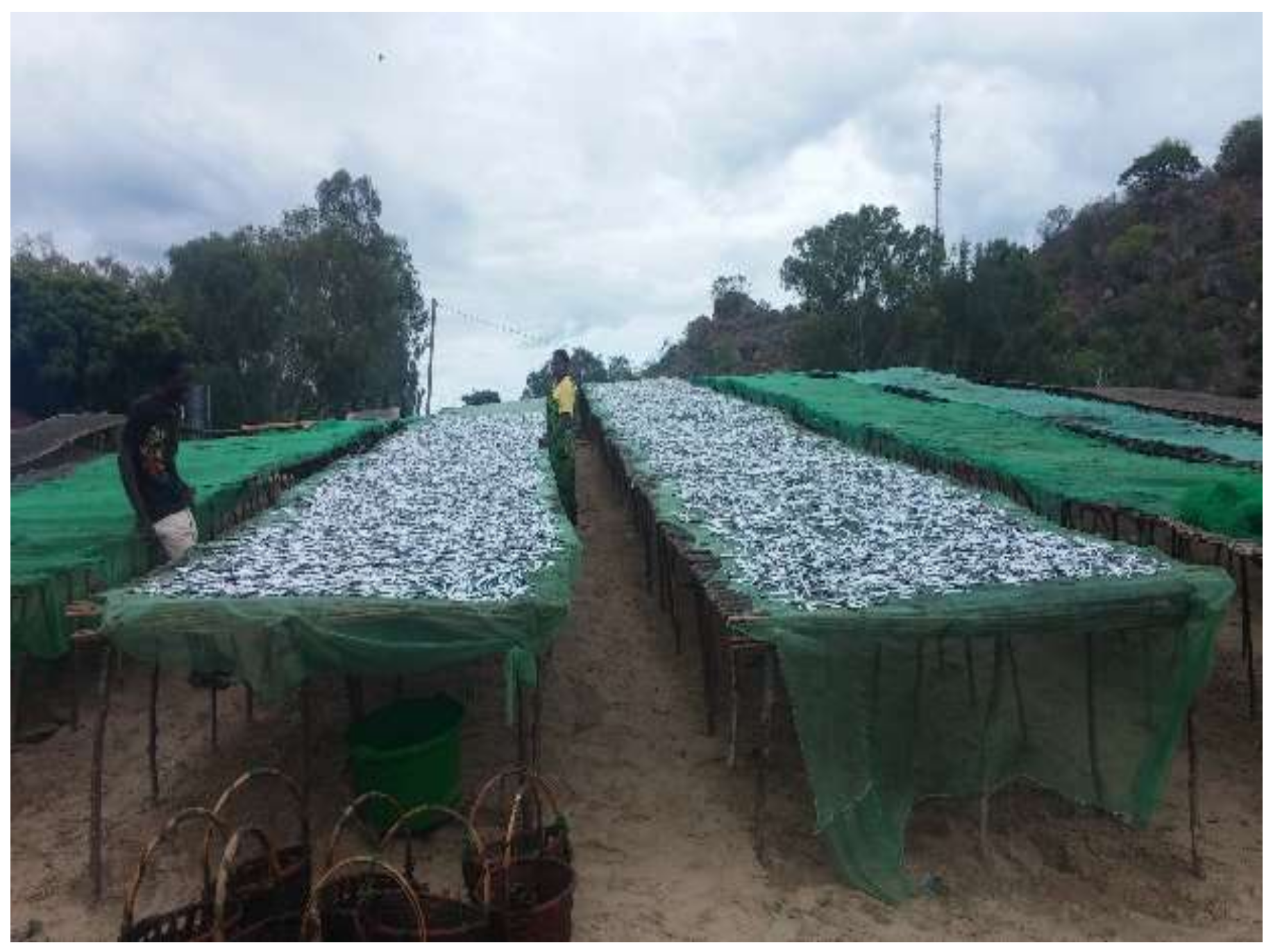 Environments 06 00003 g003 550