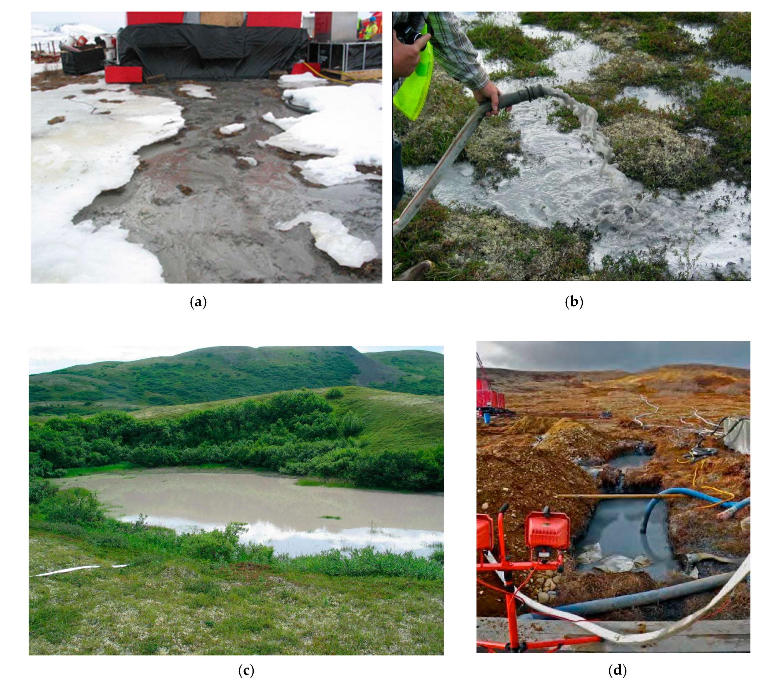 Environments 06 00078 g002 550