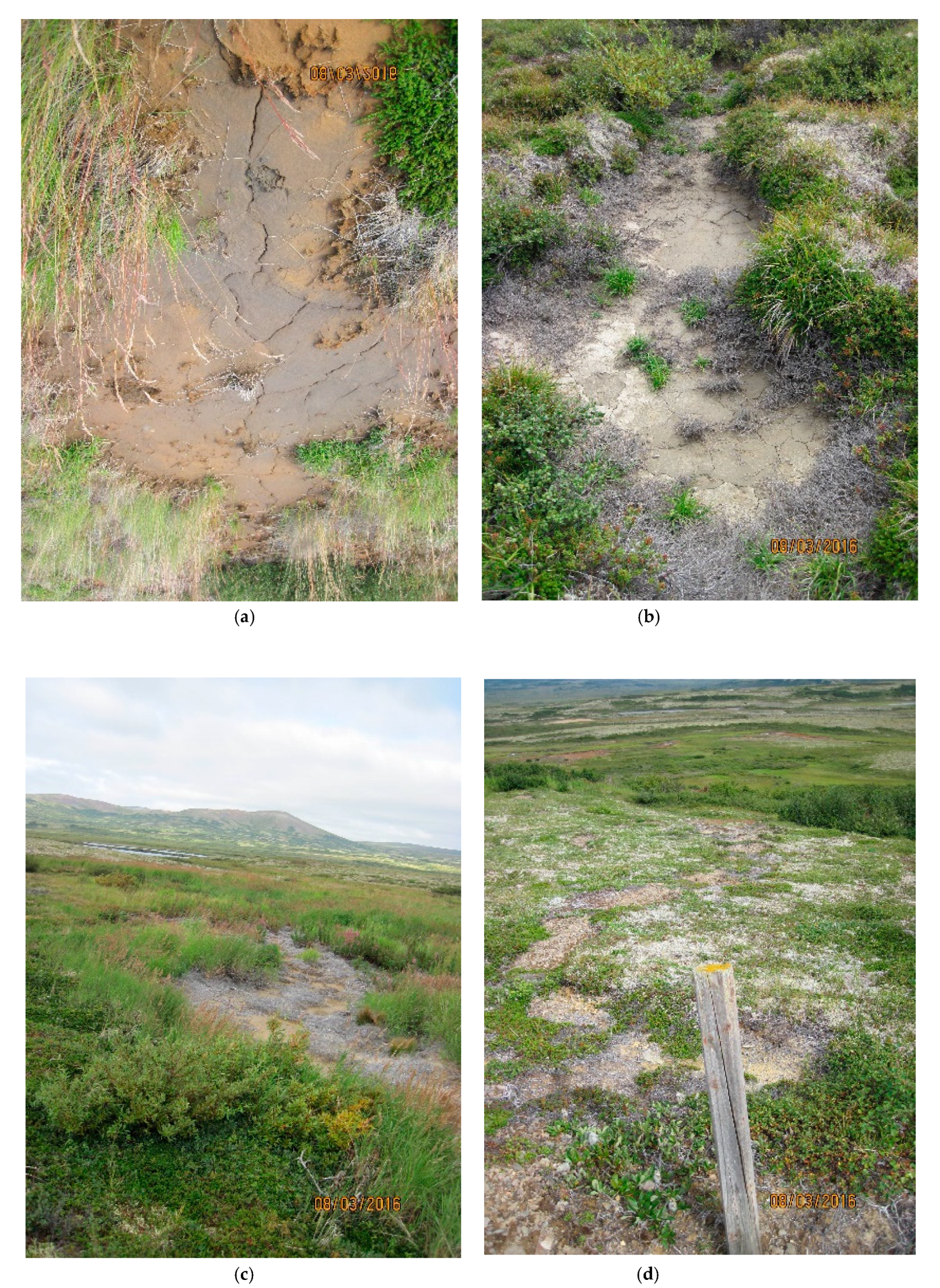 Environments 06 00078 g004 550