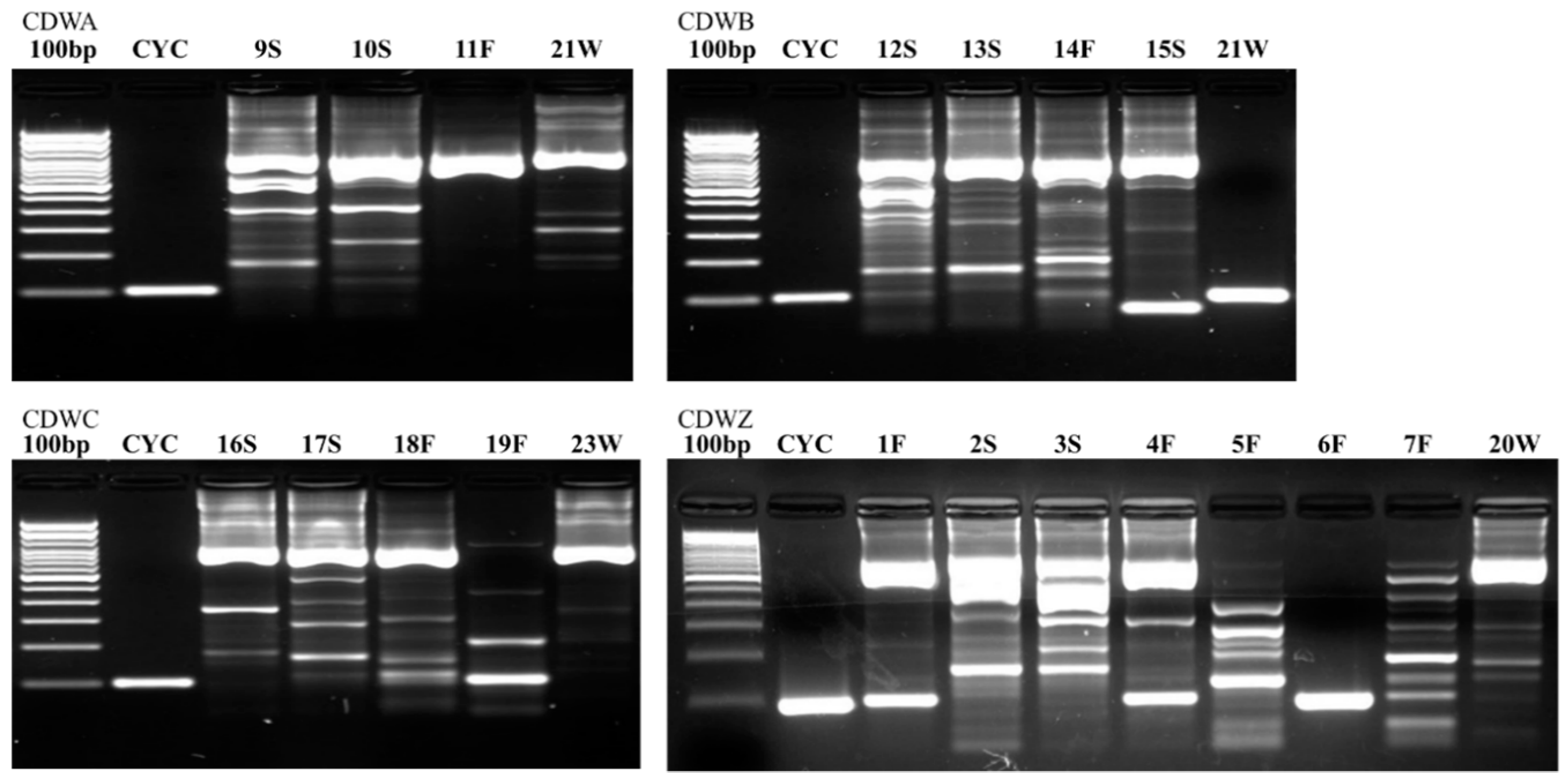 Environments 06 00080 g002 550