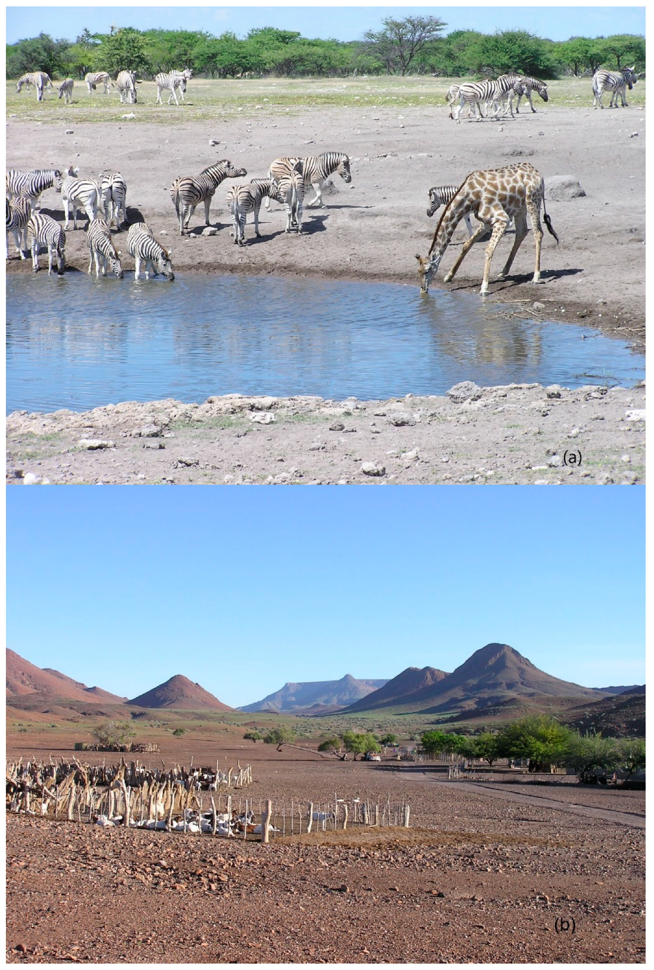 Environments 06 00083 g001