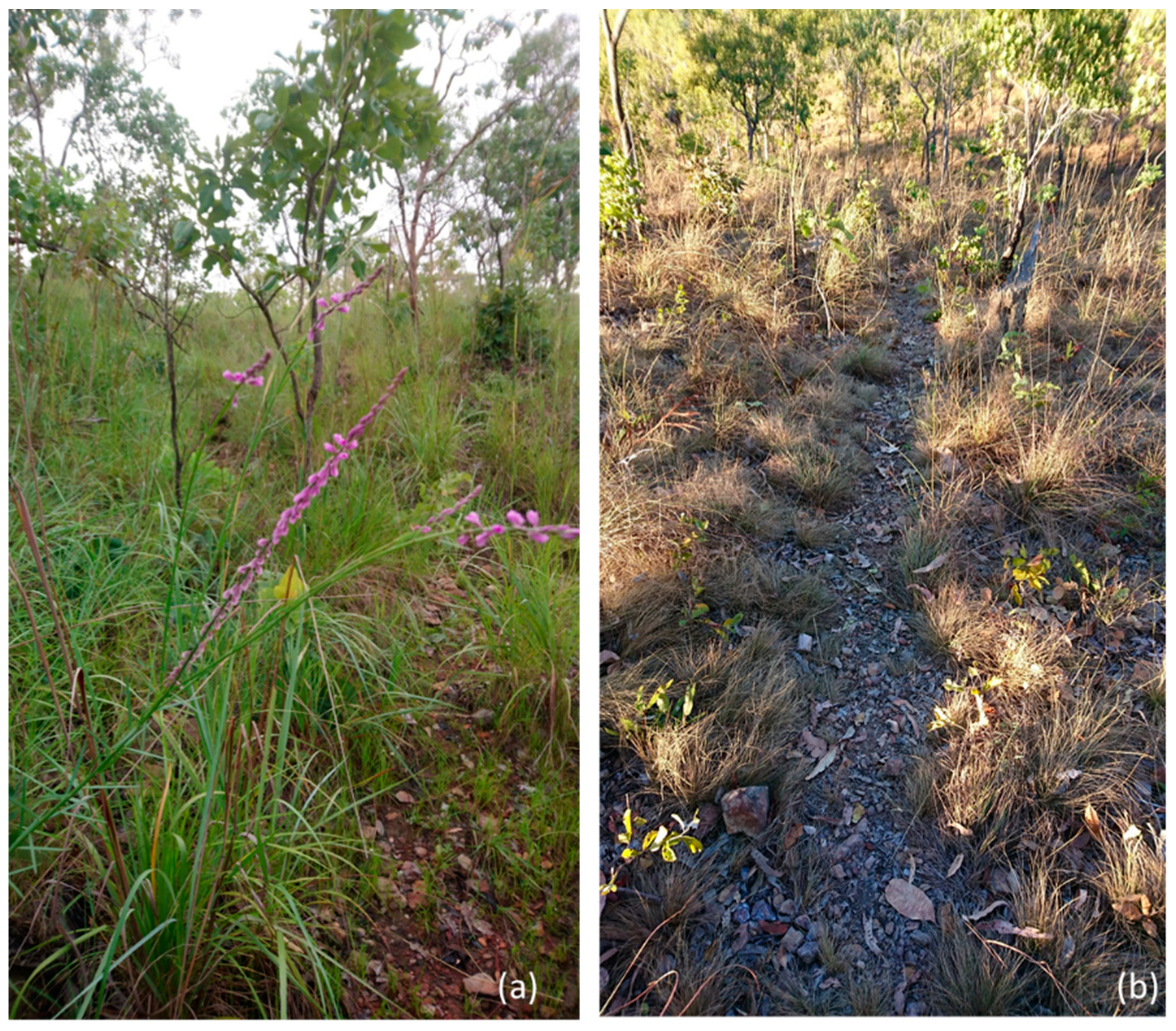 Environments 06 00083 g004