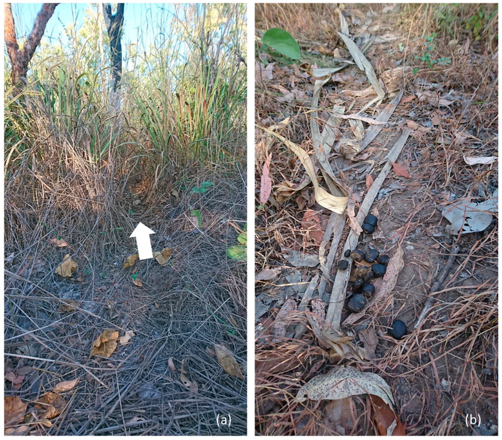 Environments 06 00083 g005