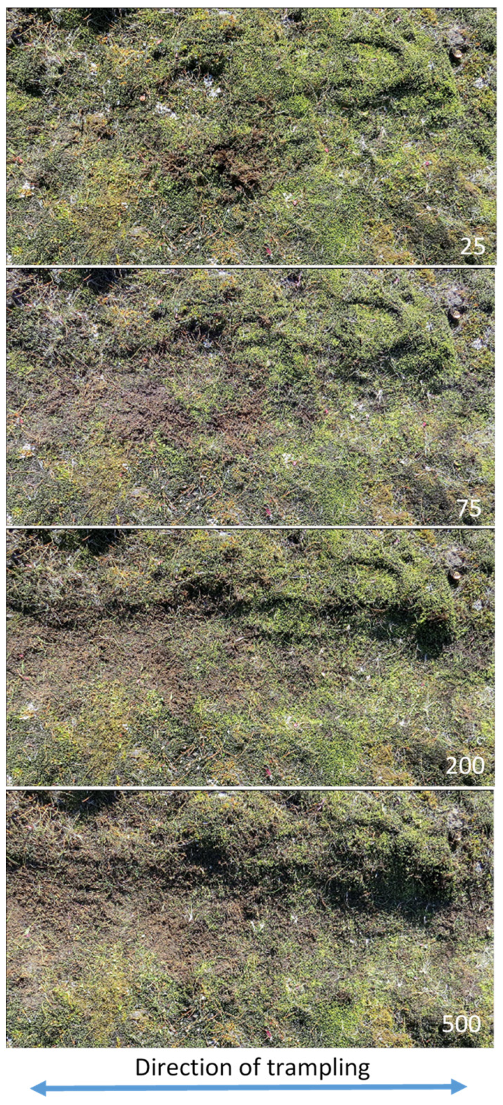 Environments 06 00099 g007 Environments 06 00099 g007