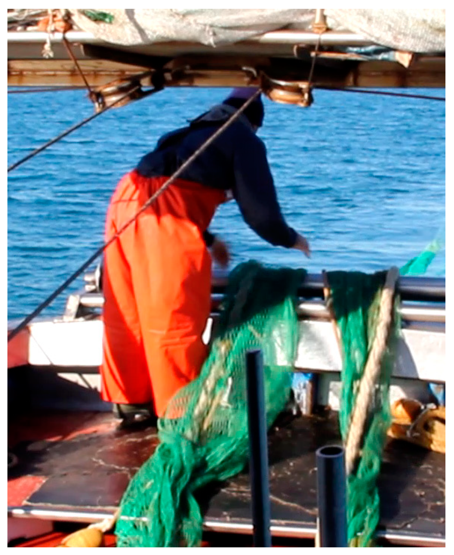 Environments 06 00127 g001 Environments 06 00127 g001