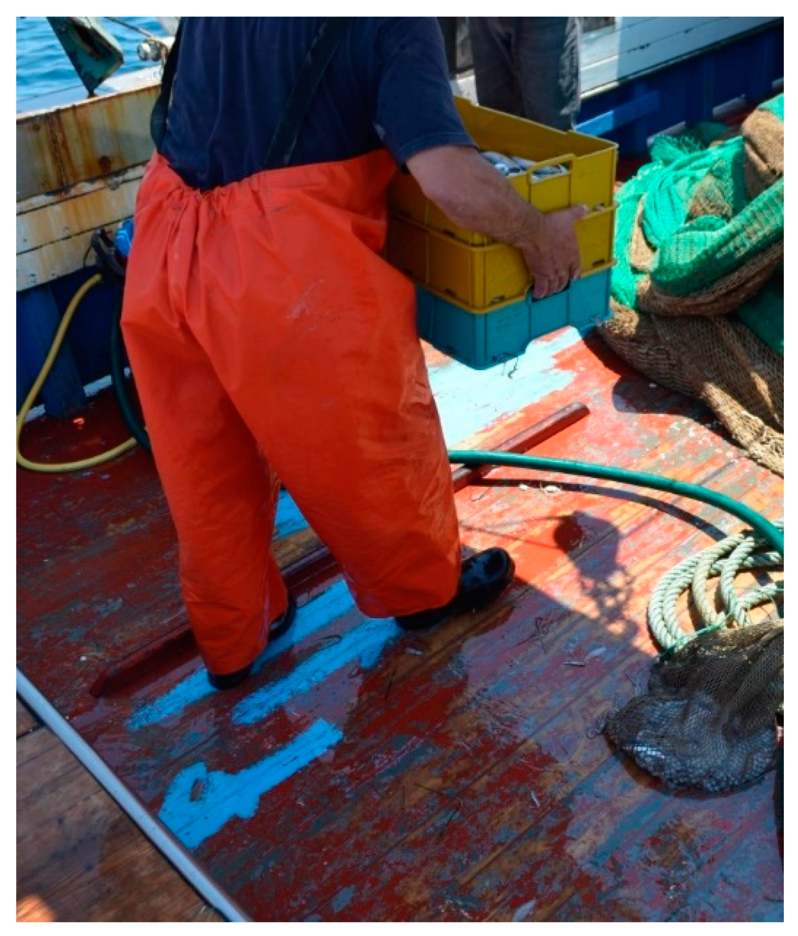 Environments 06 00127 g002 Environments 06 00127 g002