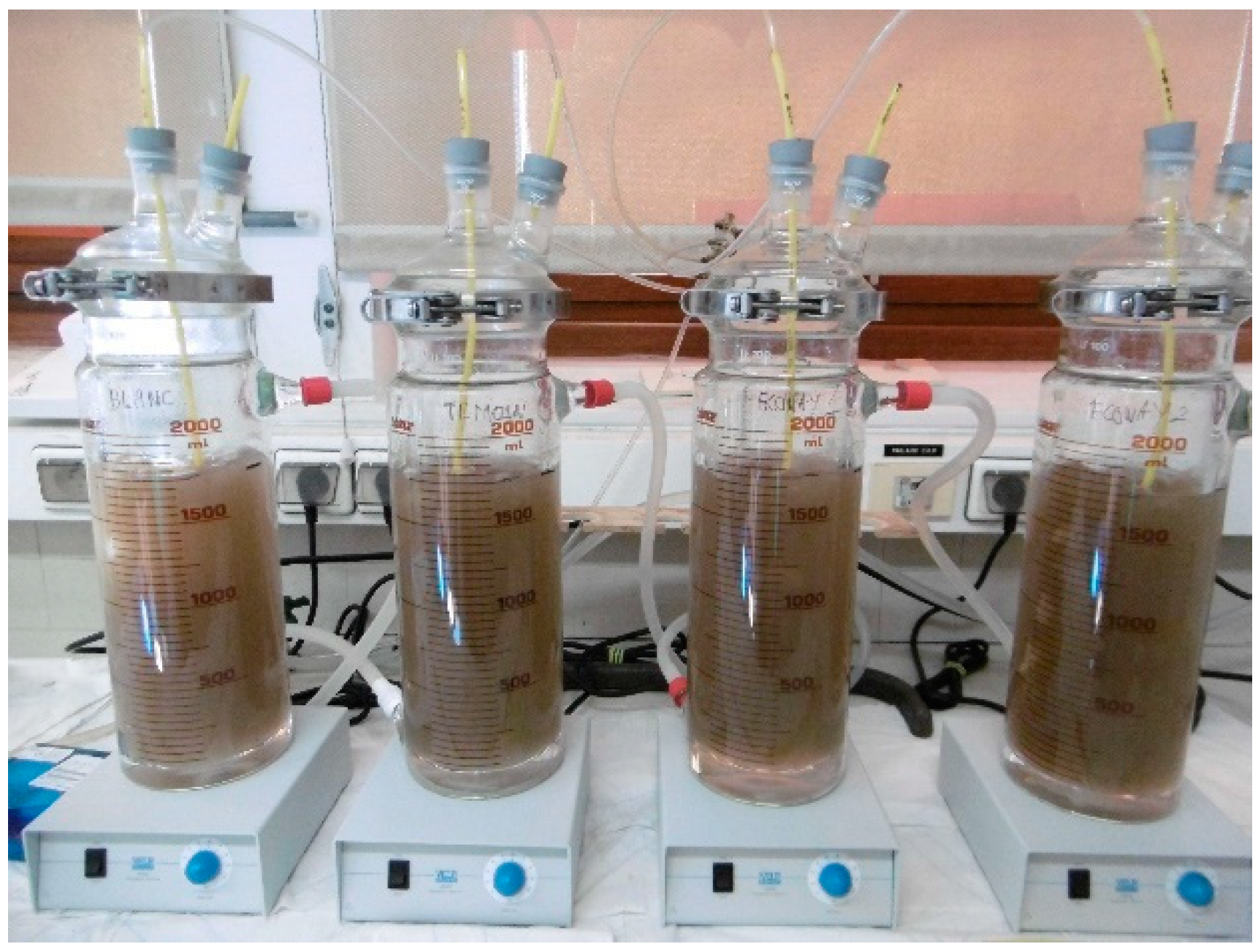 Environments 07 00004 g002