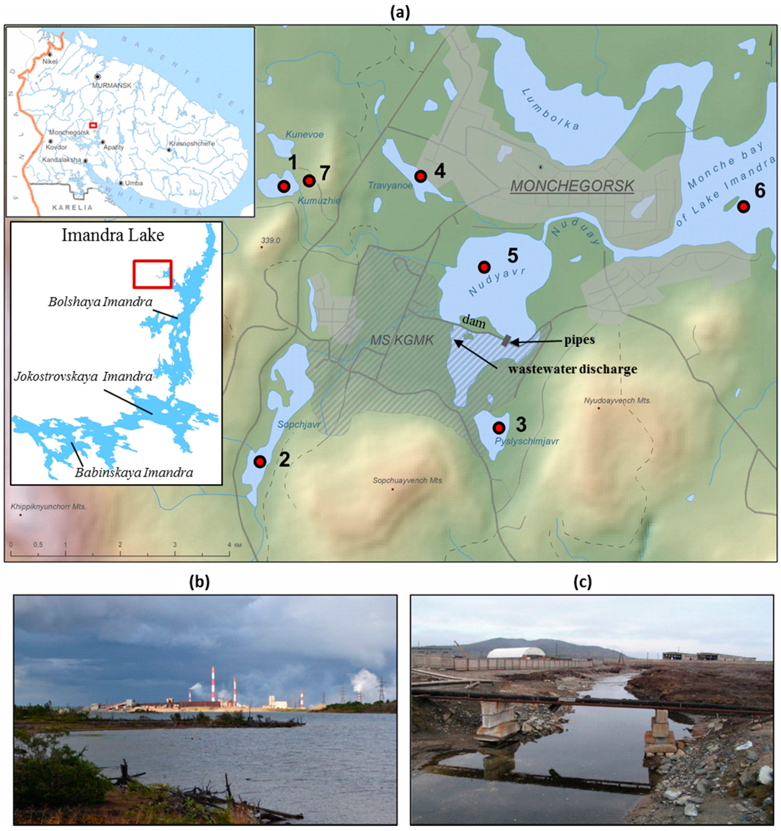 Environments 07 00029 g001