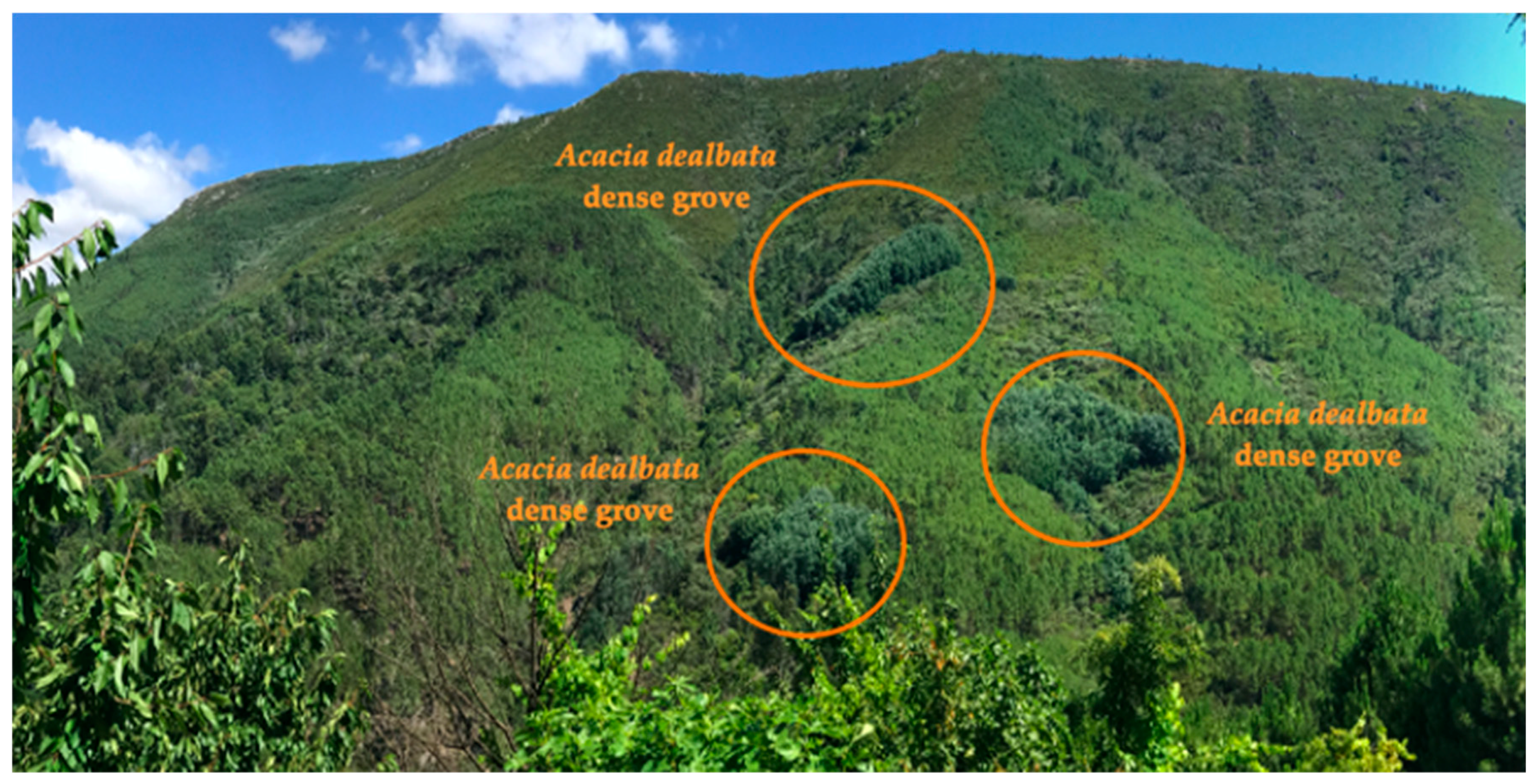 Environments 07 00057 g002 Environments 07 00057 g002