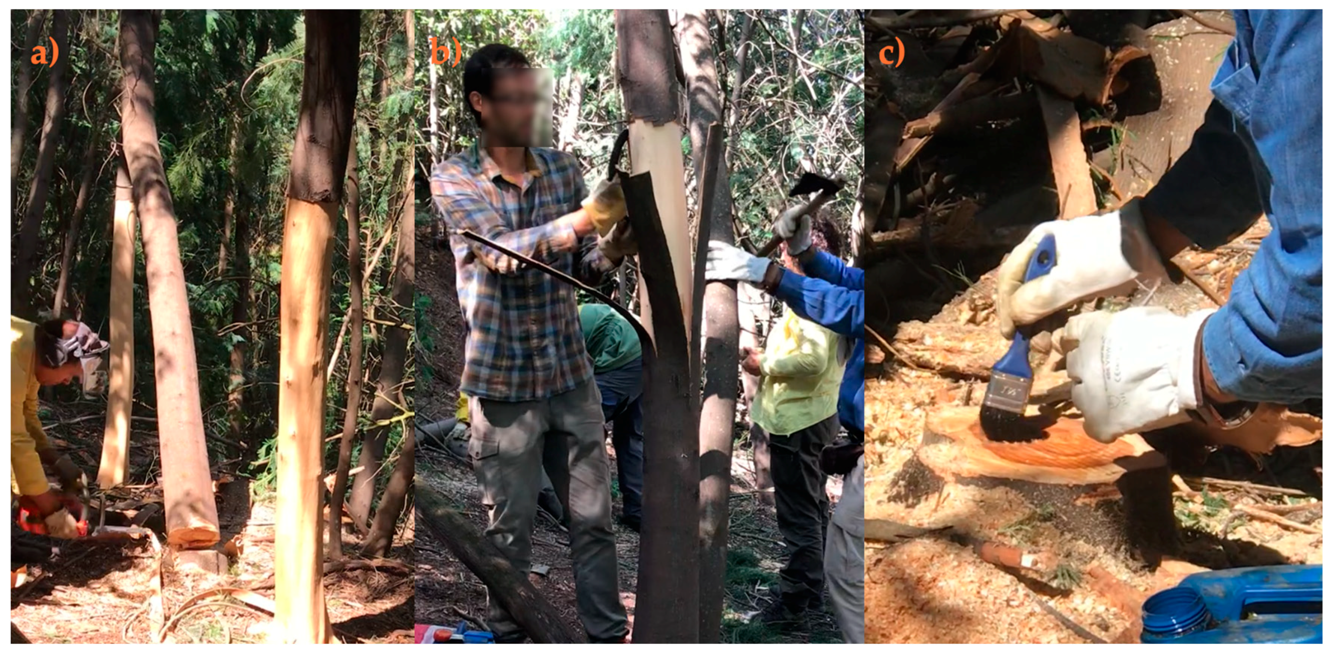 Environments 07 00057 g008 Environments 07 00057 g008