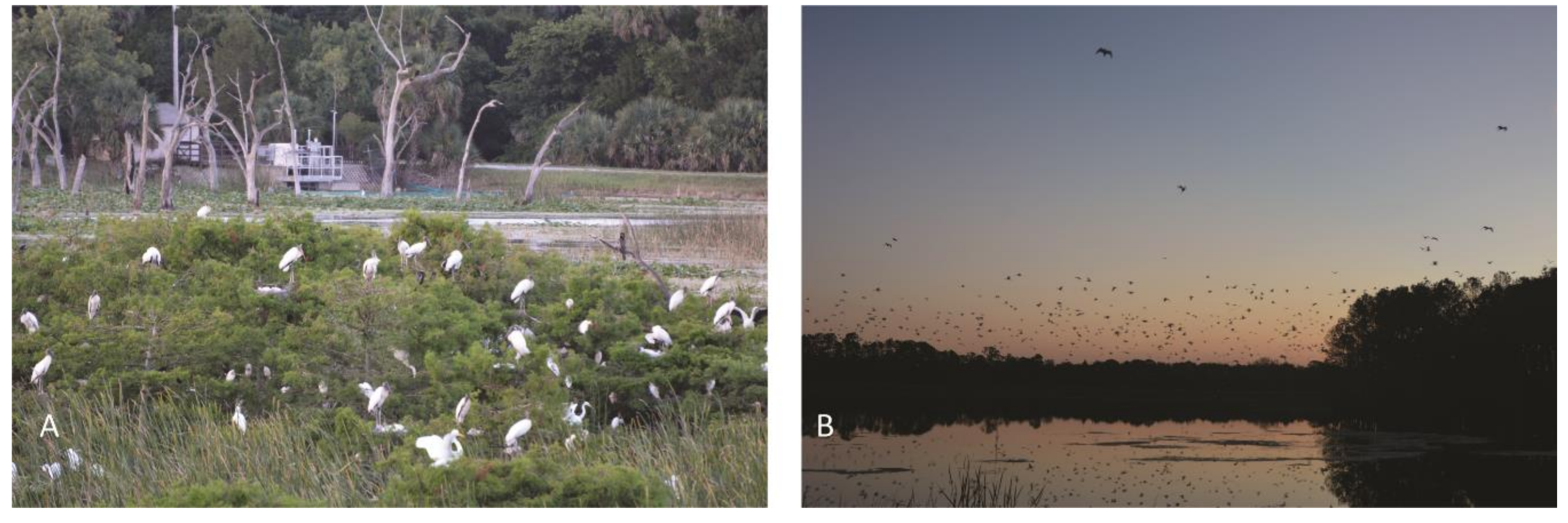 Environments 07 00060 g003 Environments 07 00060 g003