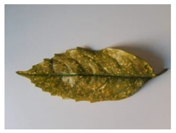 Environments 07 00081 i001 Environments 07 00081 i001