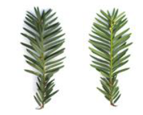 Environments 07 00081 i006 Environments 07 00081 i006