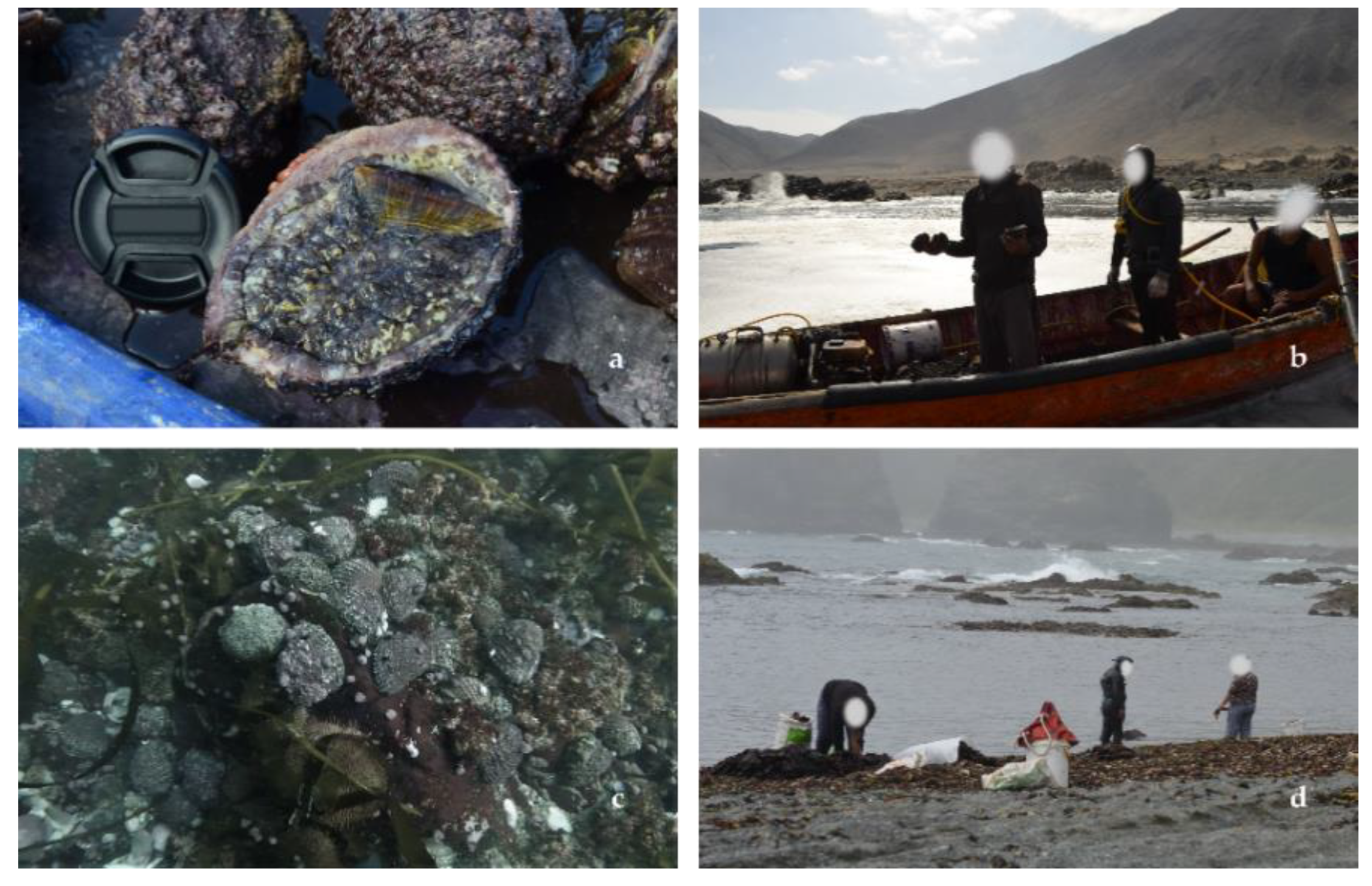 Environments 07 00104 g003 Environments 07 00104 g003