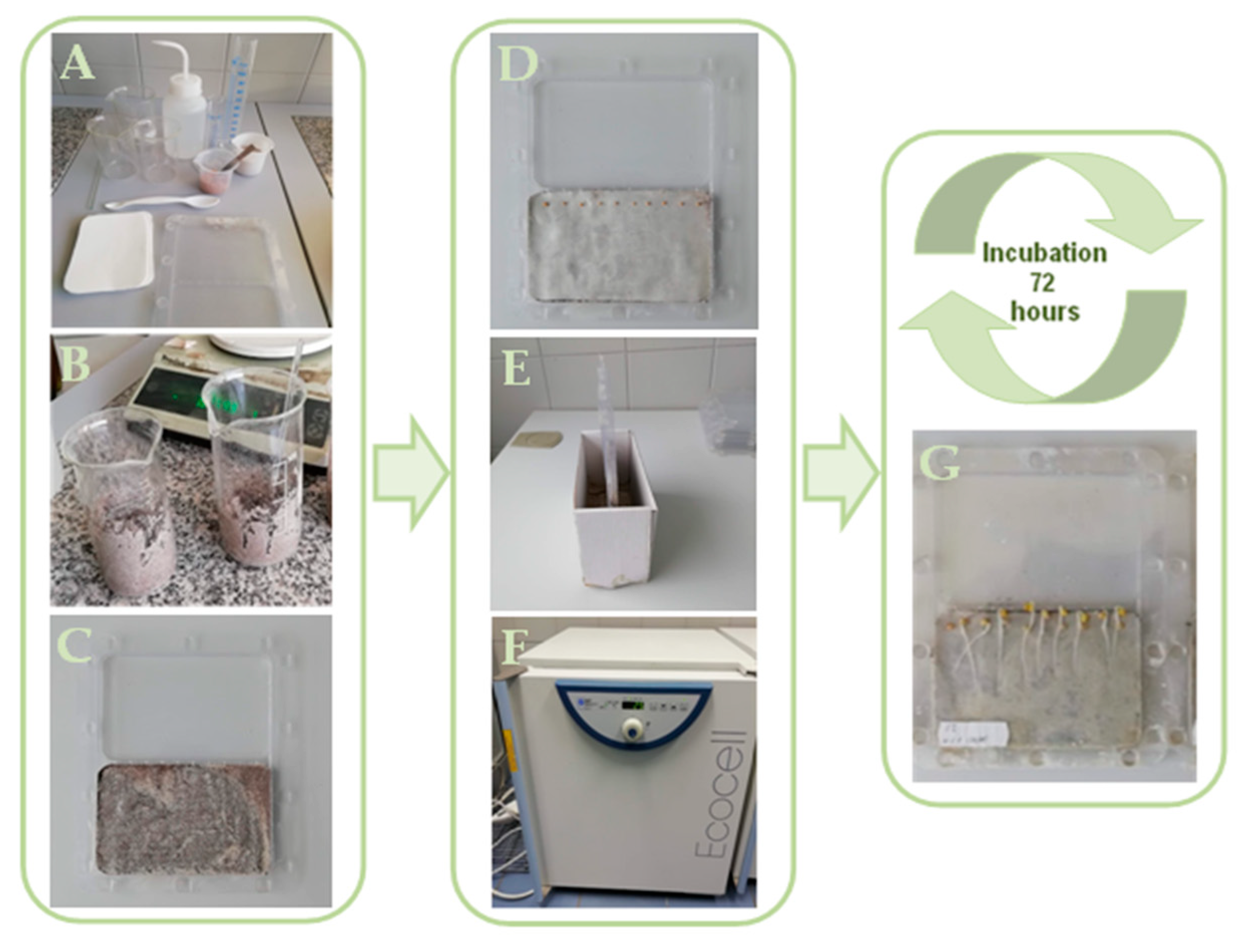 Environments 07 00111 g002 Environments 07 00111 g002