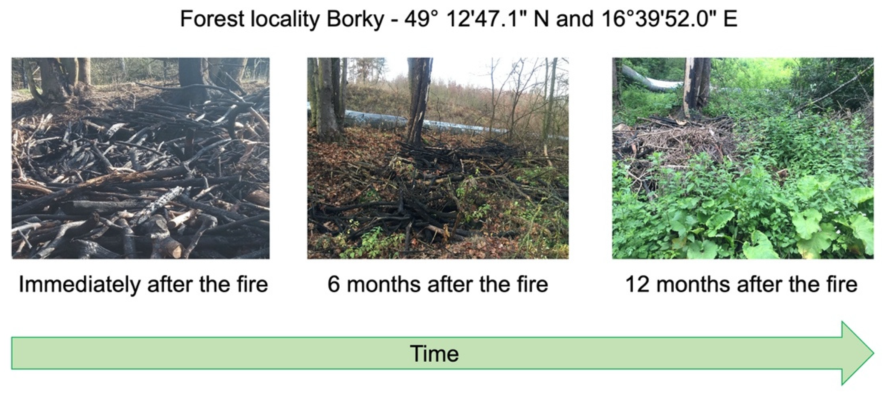 Environments 08 00003 g001