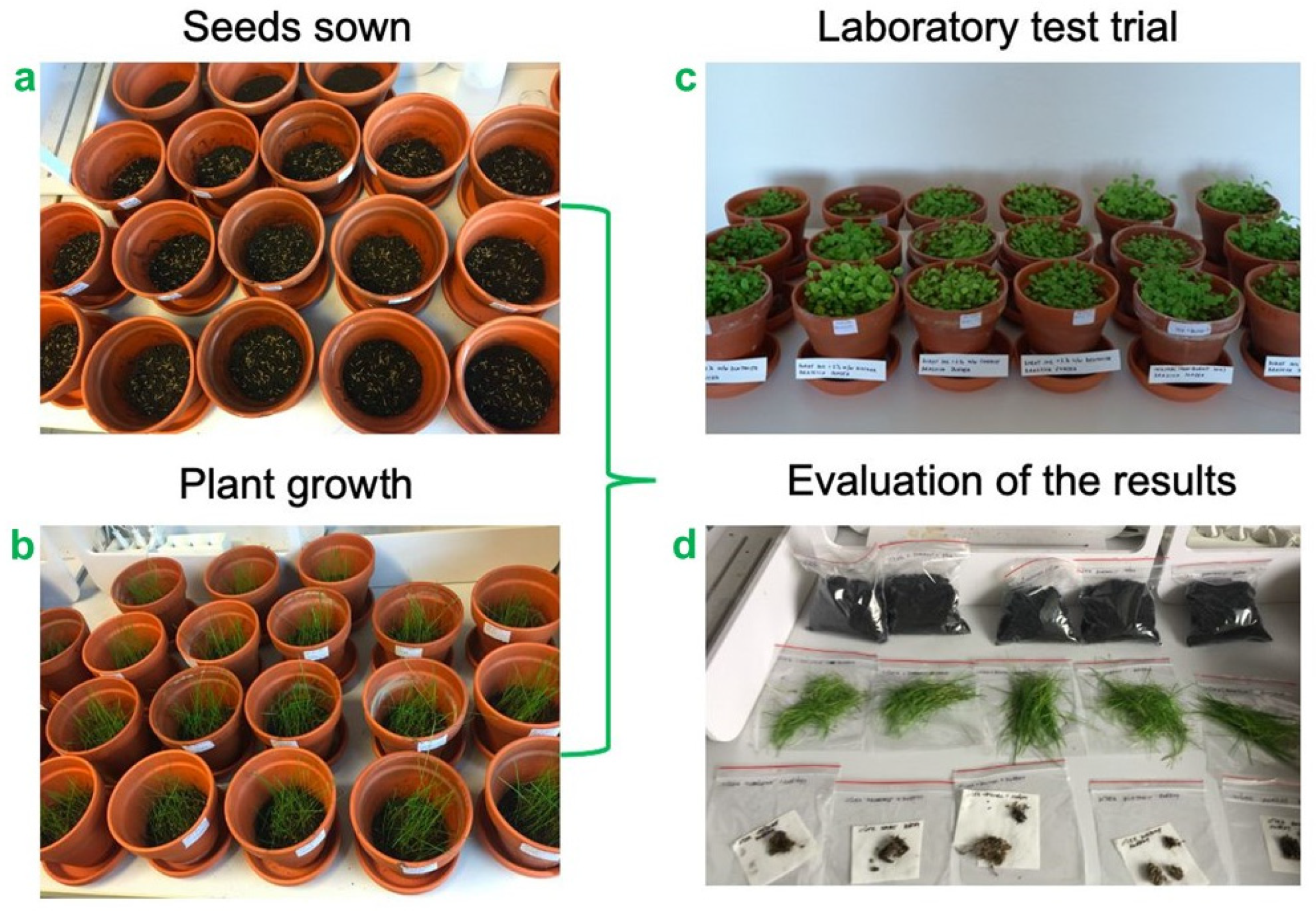 Environments 08 00003 g002