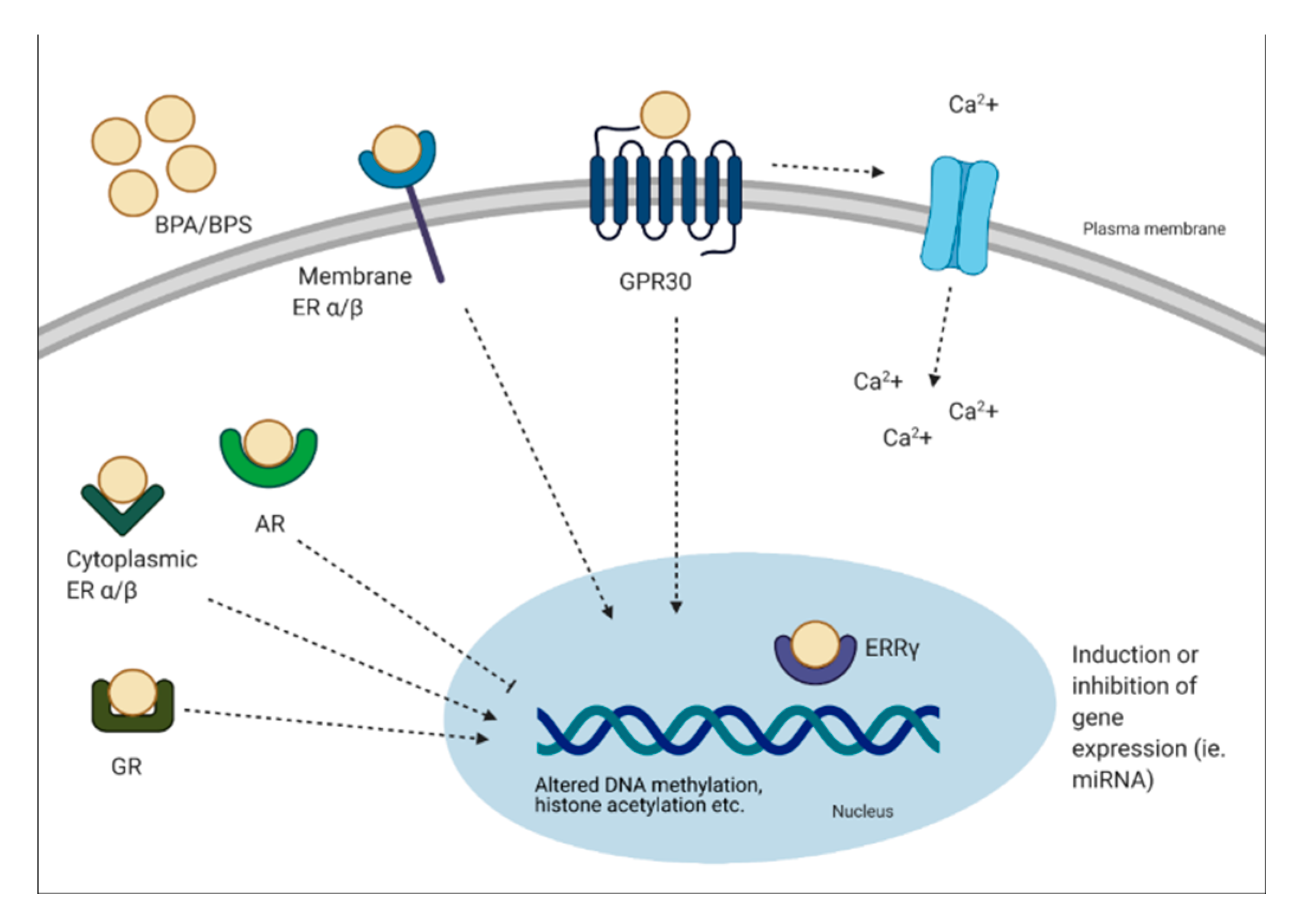 Environments 08 00035 g002 Environments 08 00035 g002