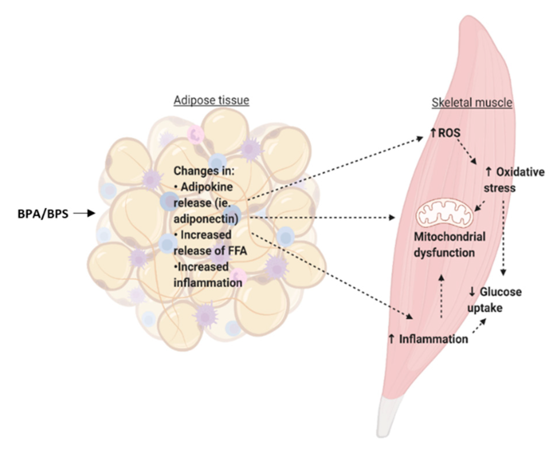 Environments 08 00035 g005 Environments 08 00035 g005