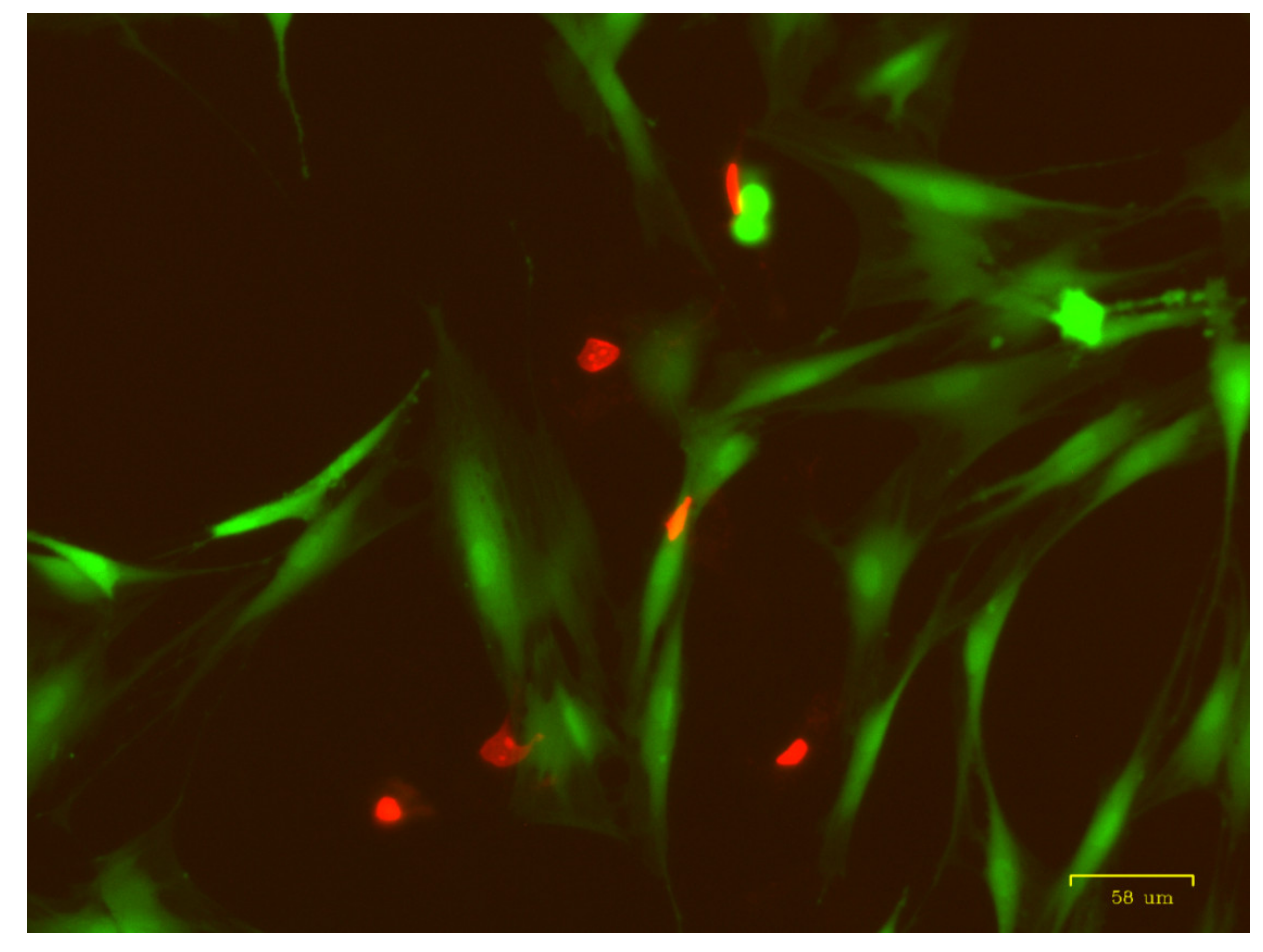 Environments 08 00054 g001 Environments 08 00054 g001