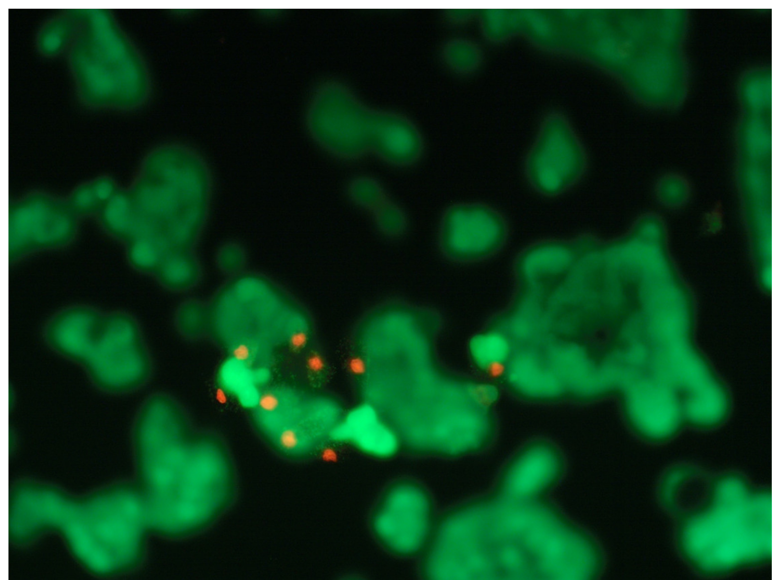 Environments 08 00054 g002 Environments 08 00054 g002