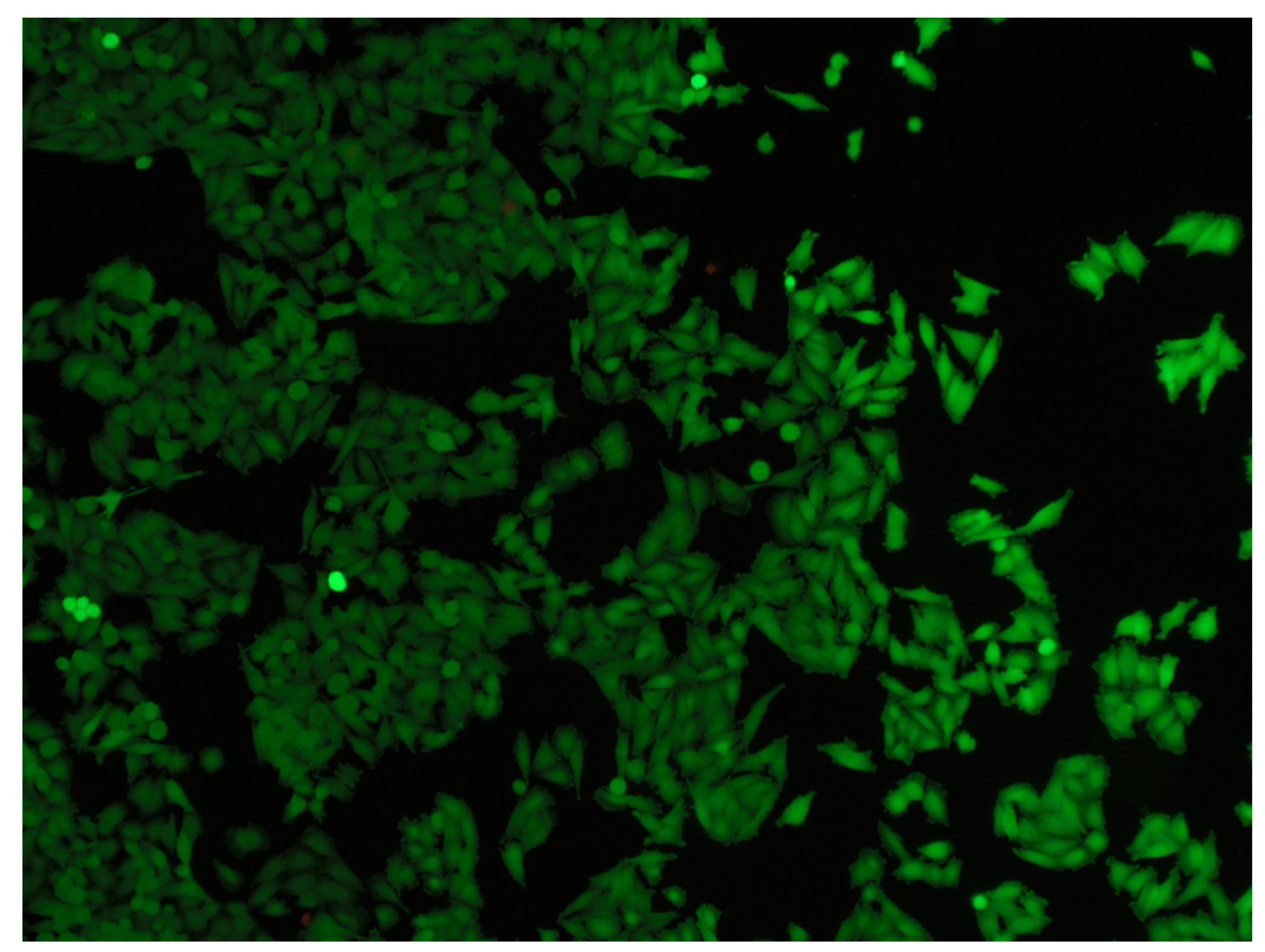 Environments 08 00054 g003 Environments 08 00054 g003