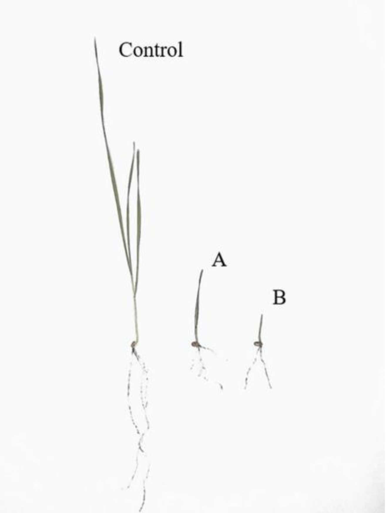 Environments 08 00064 g002