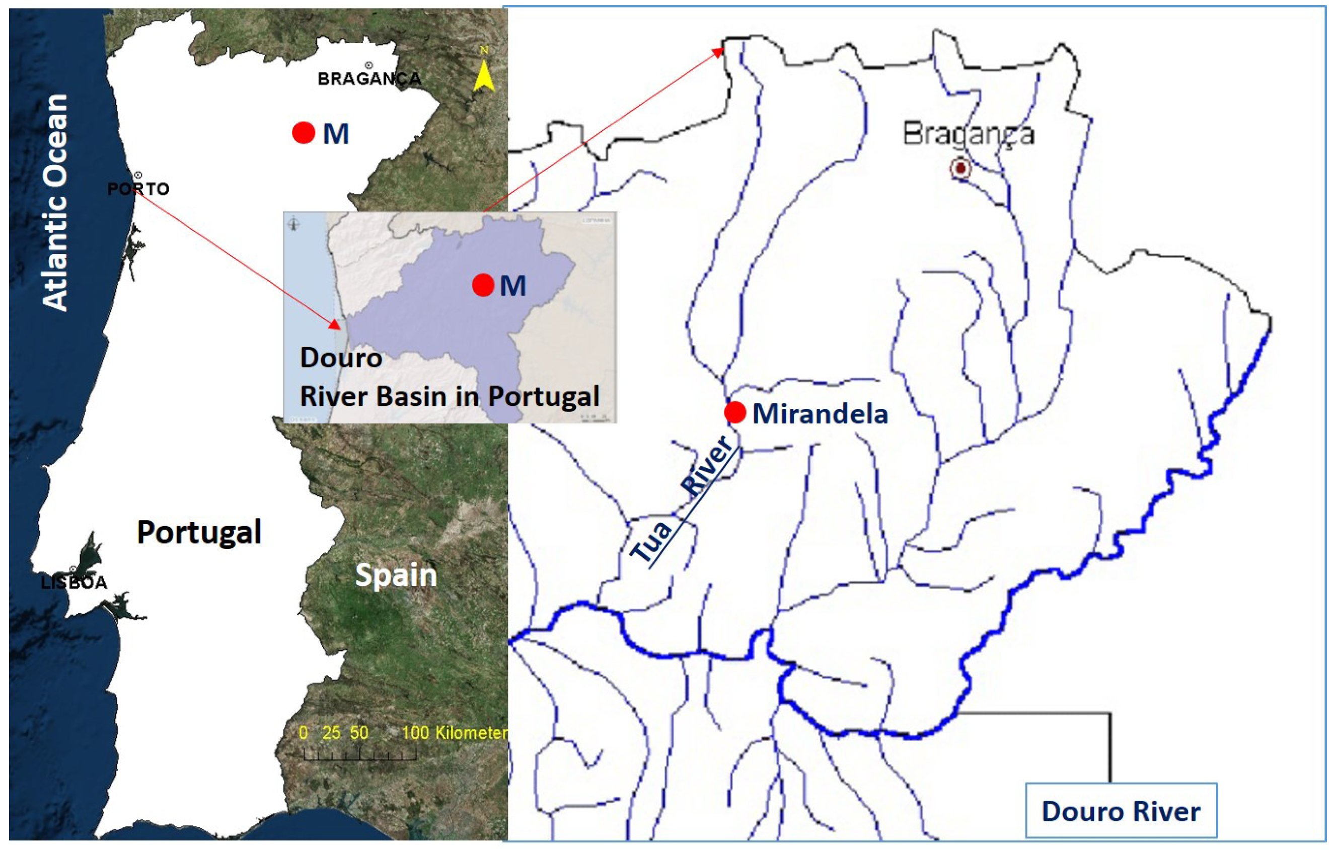 Environments 08 00084 g001 550