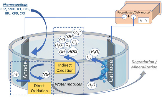 A review on the recent advances in electrochemical treatment