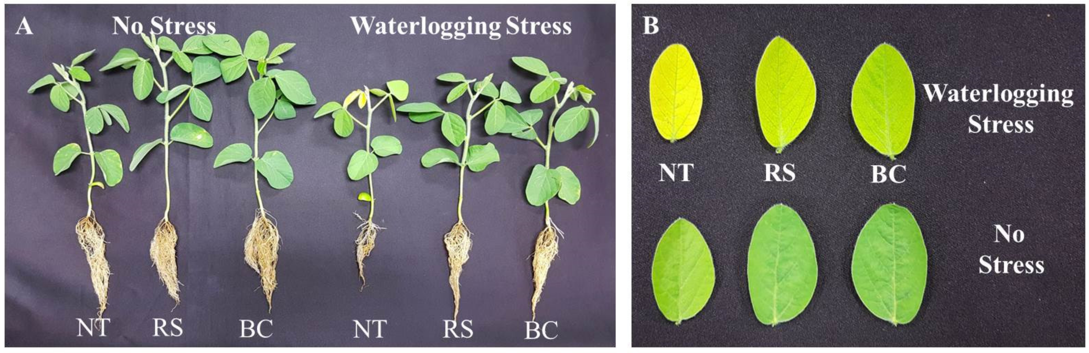 Environments 08 00094 g001 550