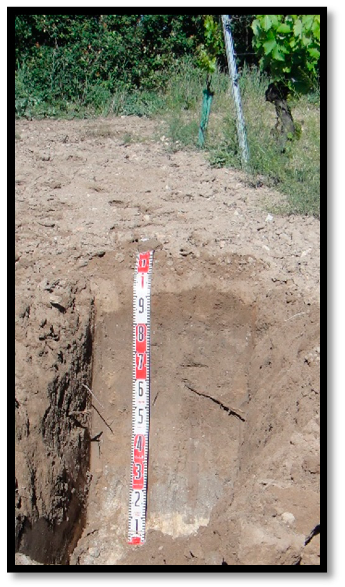 Environments 08 00096 g002 Environments 08 00096 g002