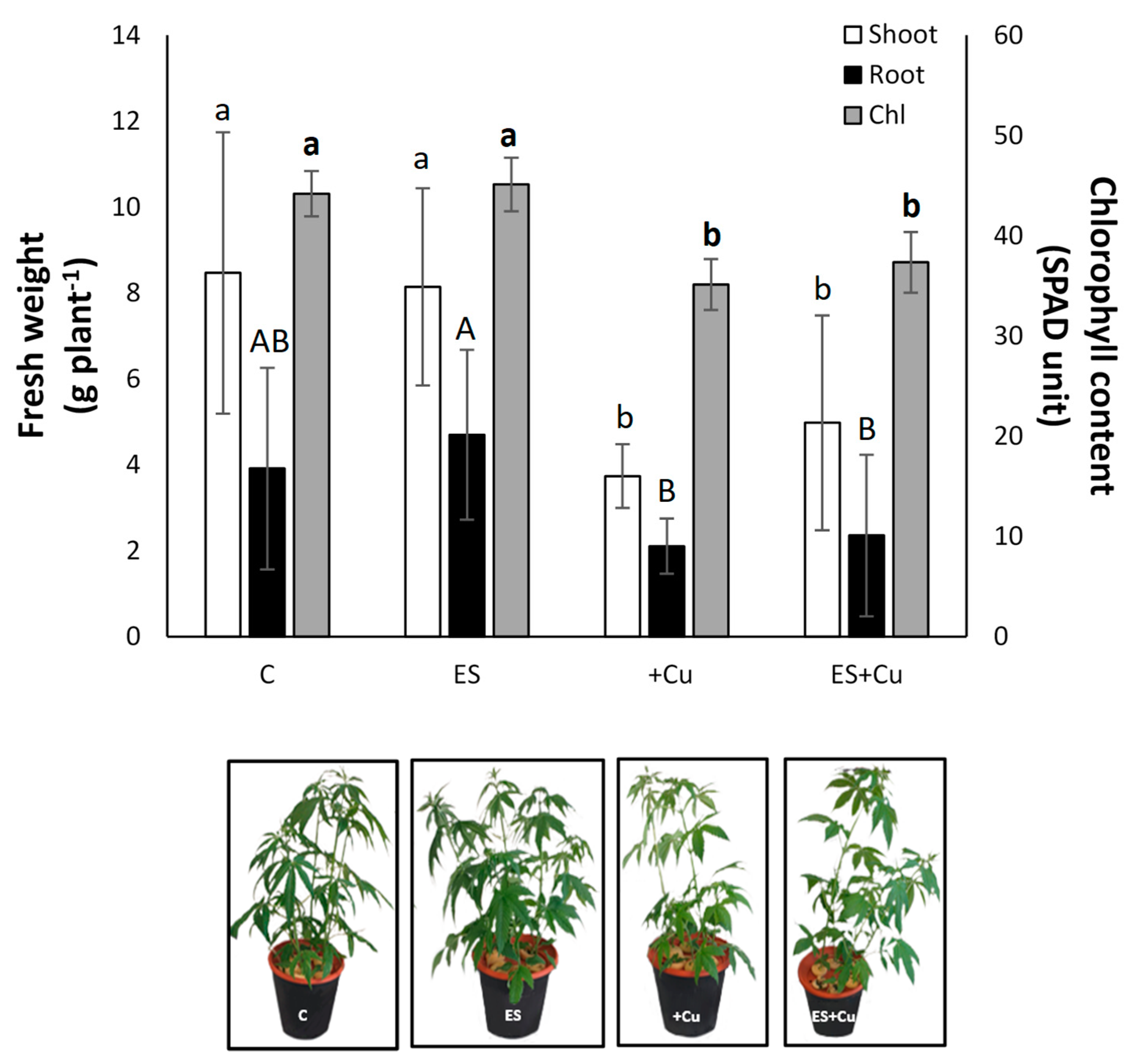 Environments 08 00111 g001 550