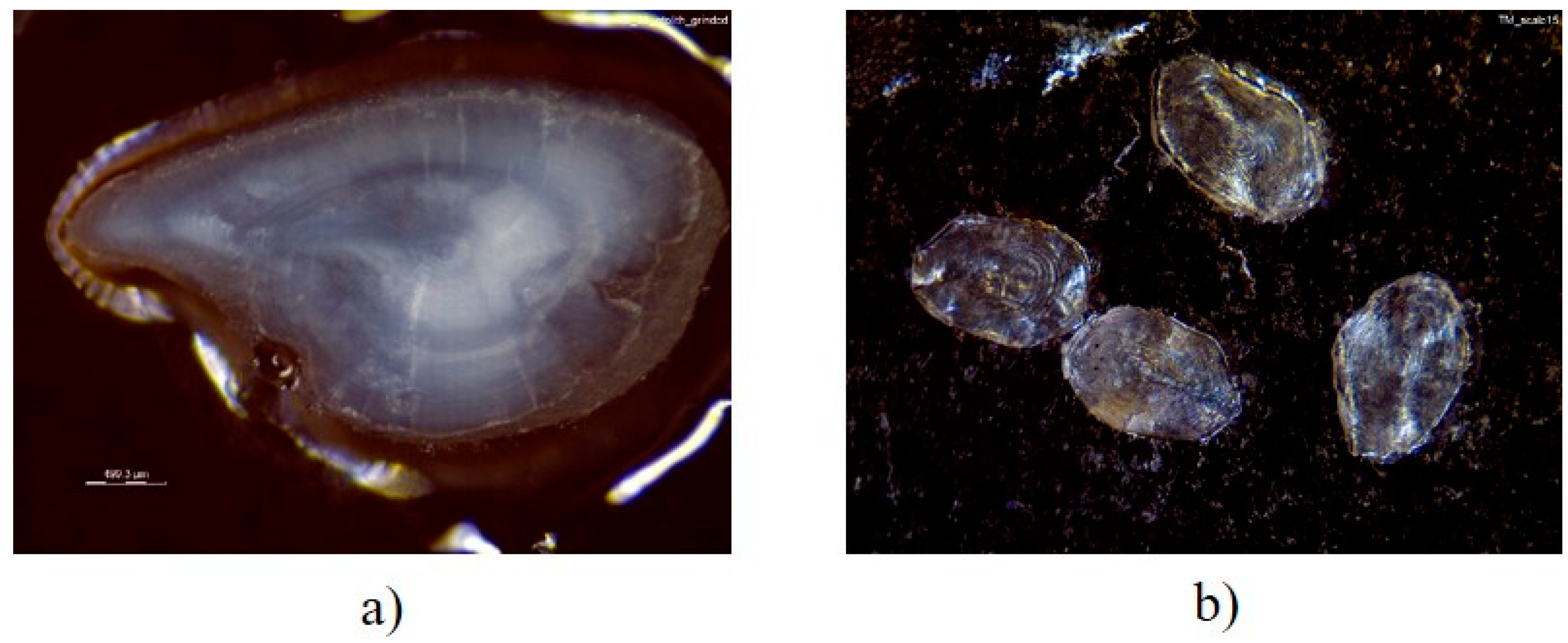 Environments 09 00014 g002 Environments 09 00014 g002