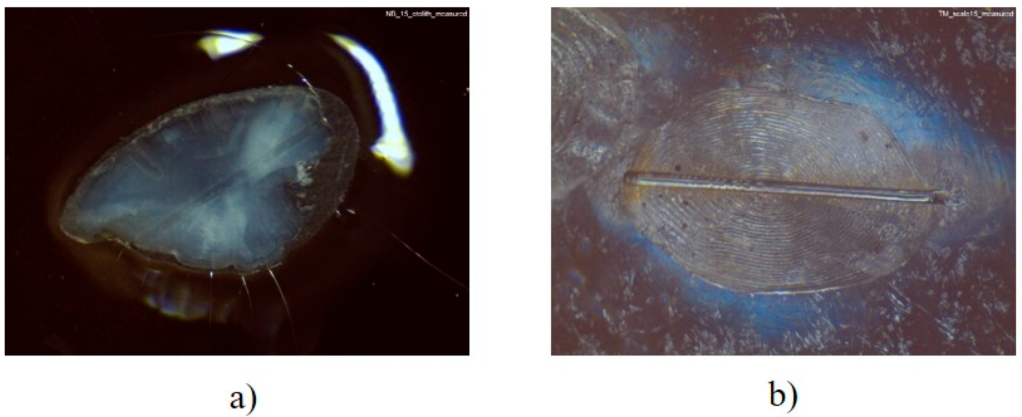 Environments 09 00014 g003 Environments 09 00014 g003