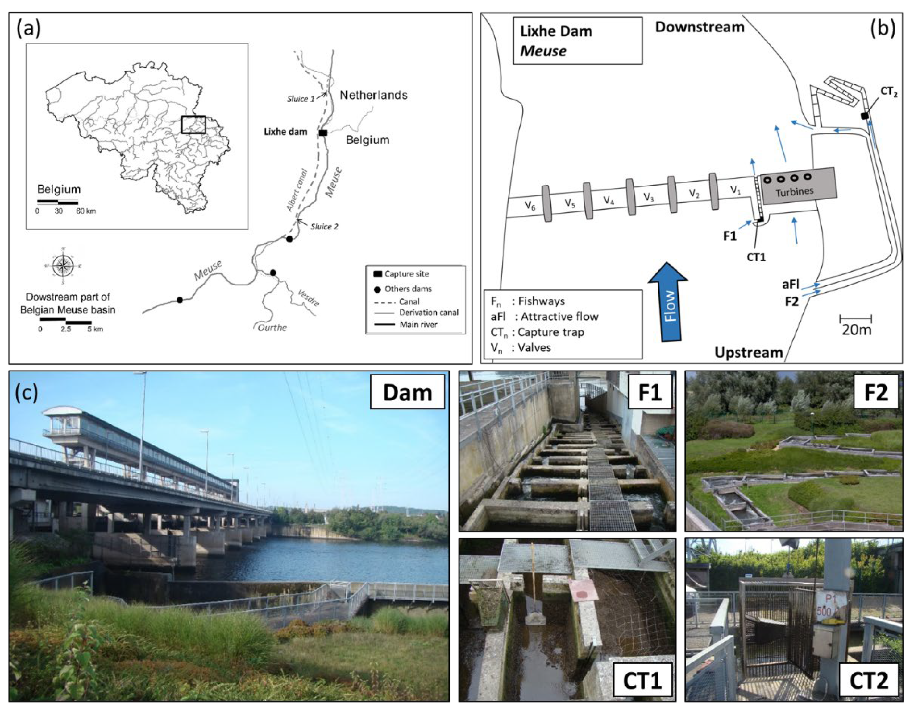 Environments 09 00022 g001