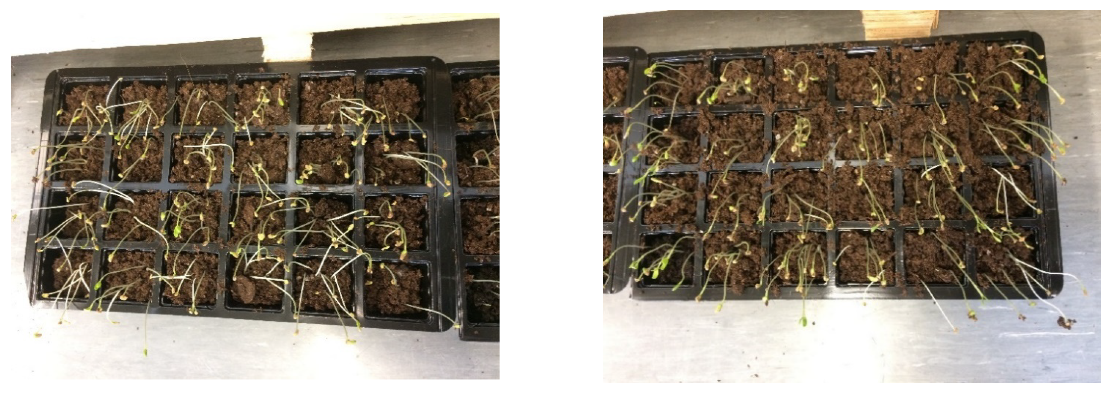 Environments 09 00033 g005 550