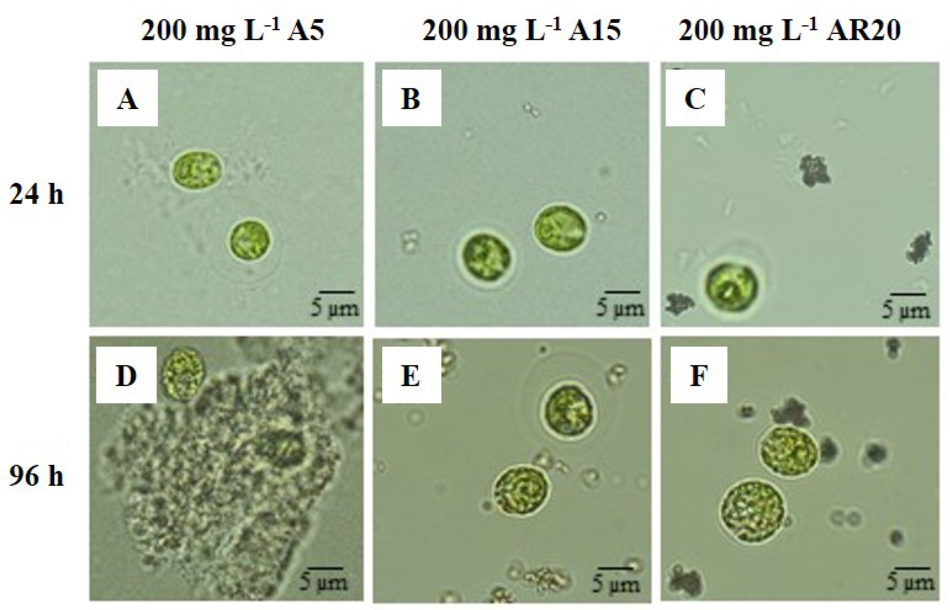 Environments 09 00044 g006 550