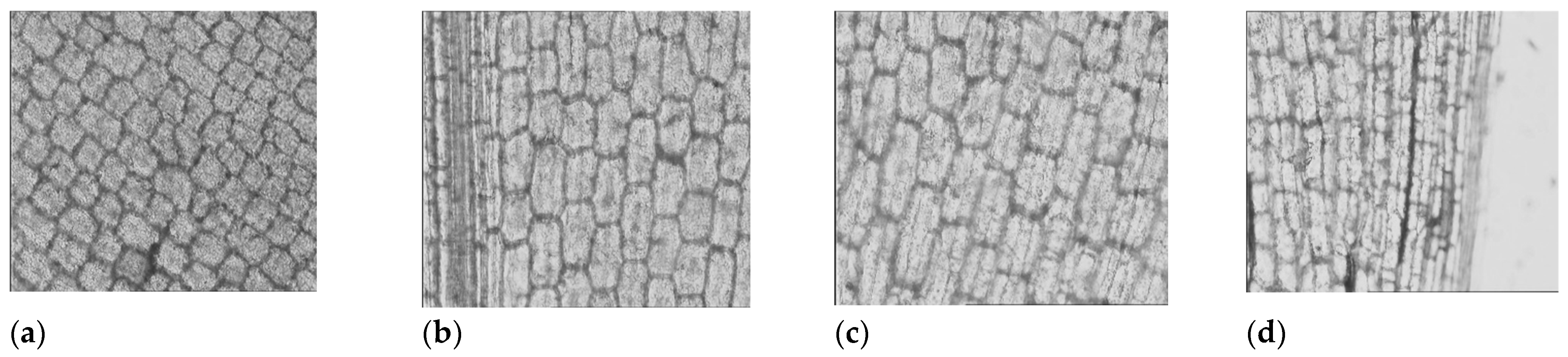 Environments 09 00051 g004
