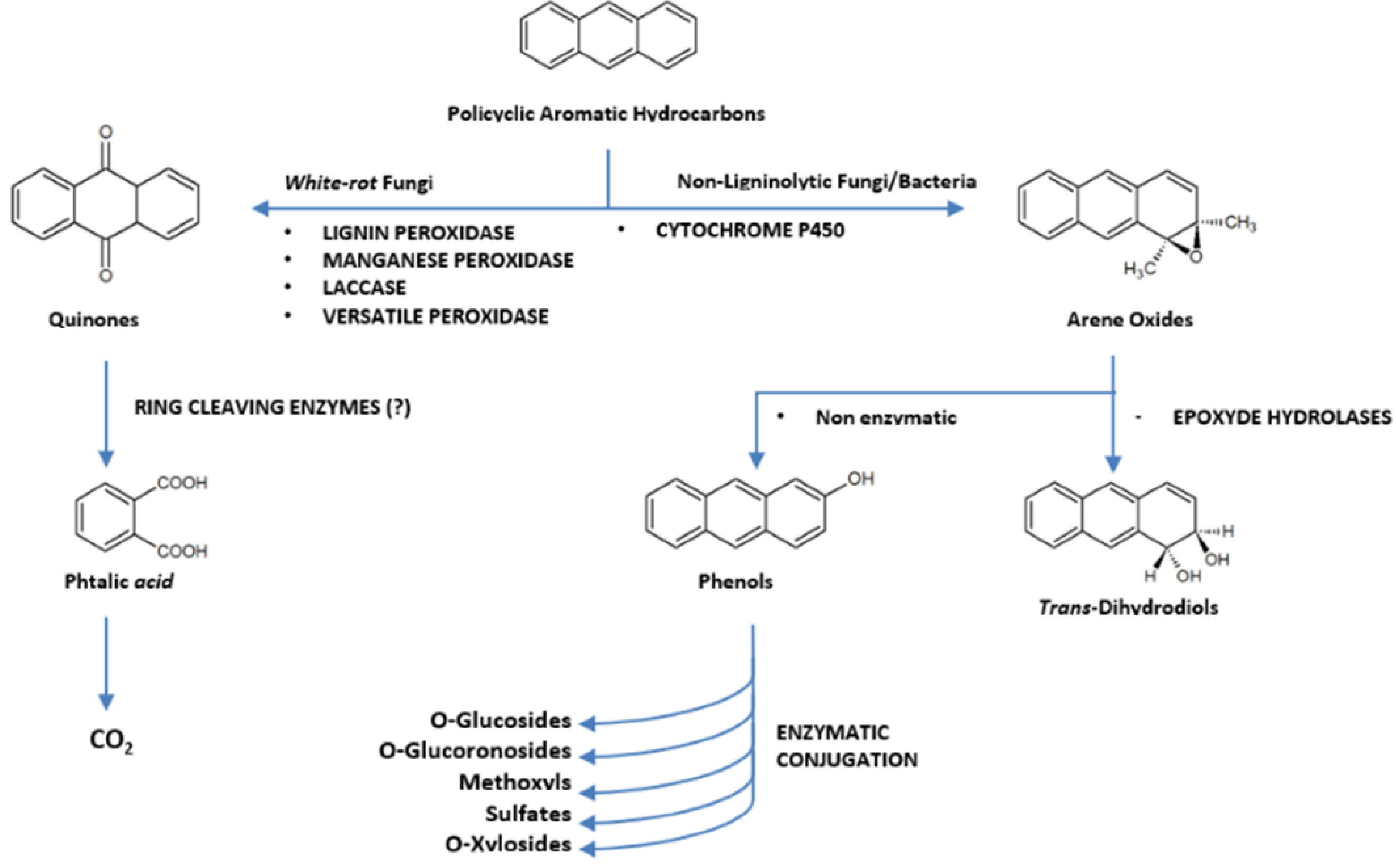 Environments 09 00052 g003