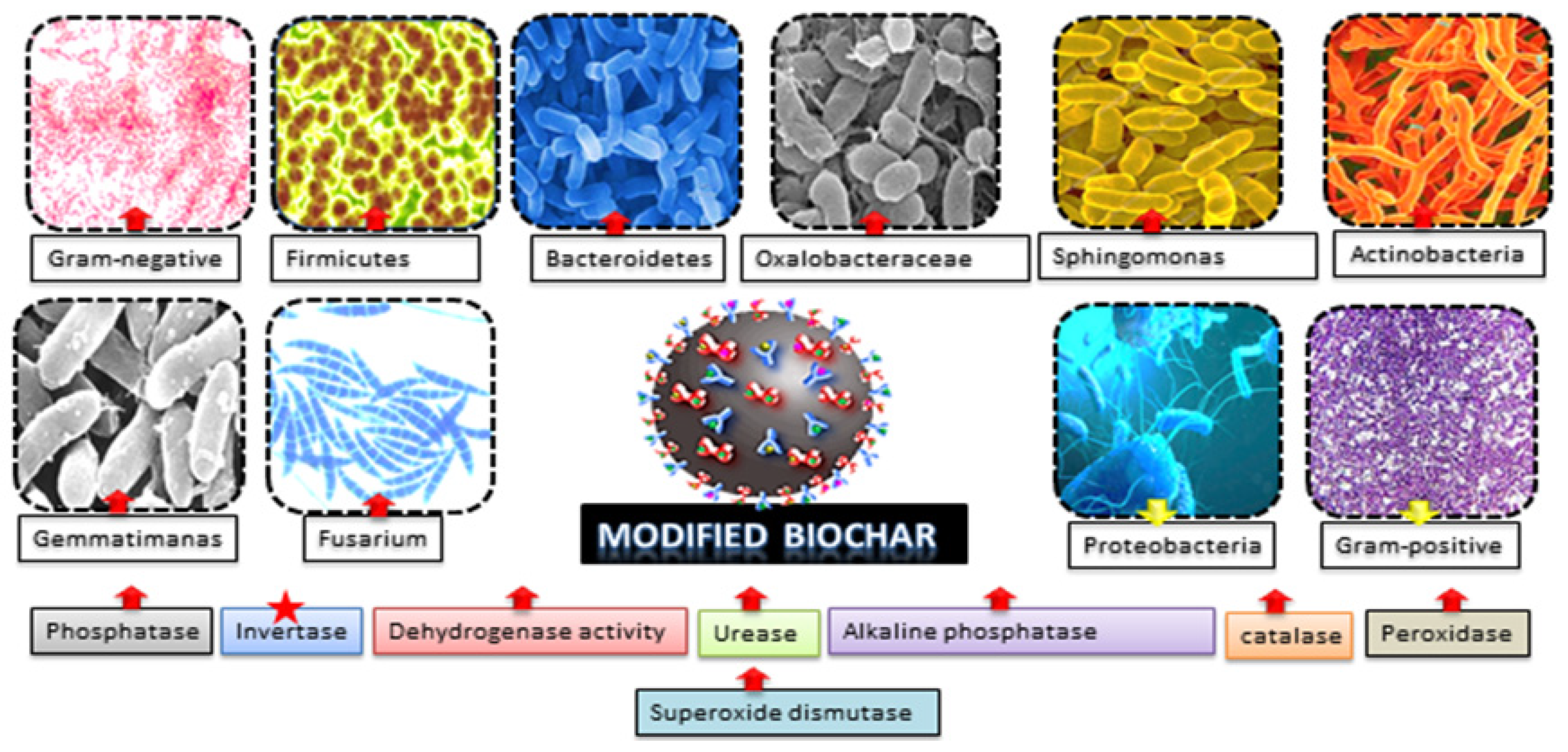 Environments 09 00060 g003
