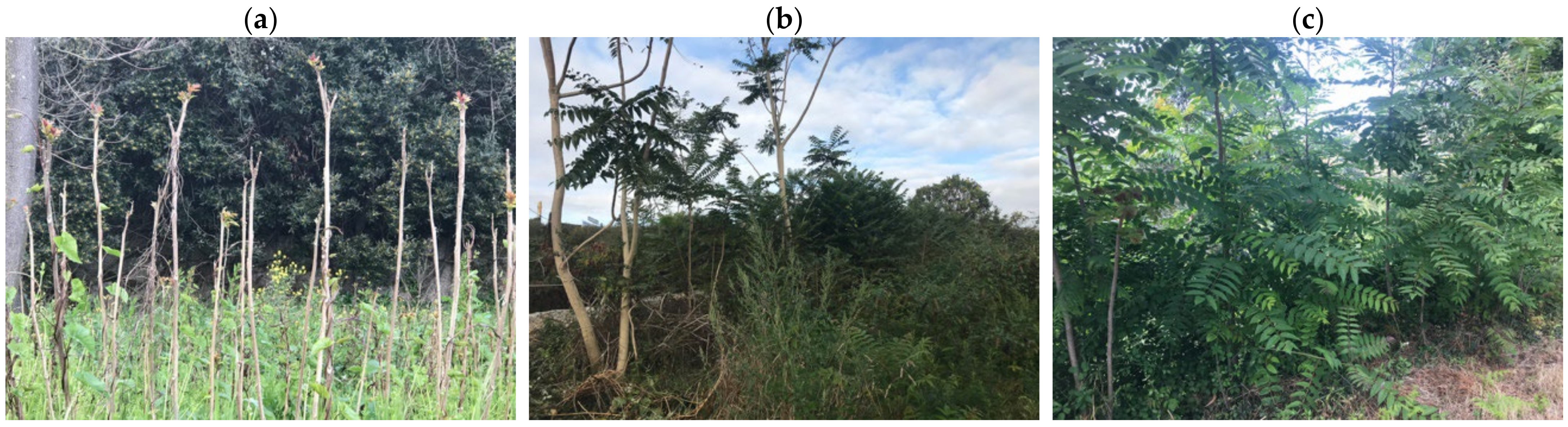 Environments 09 00064 g002