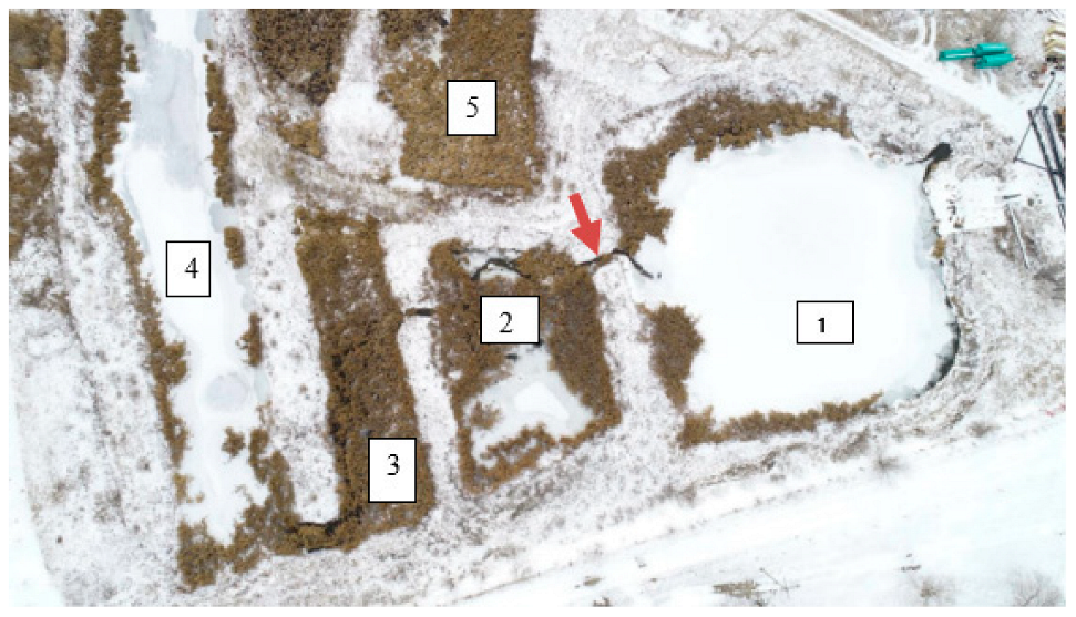 Environments 09 00072 g002