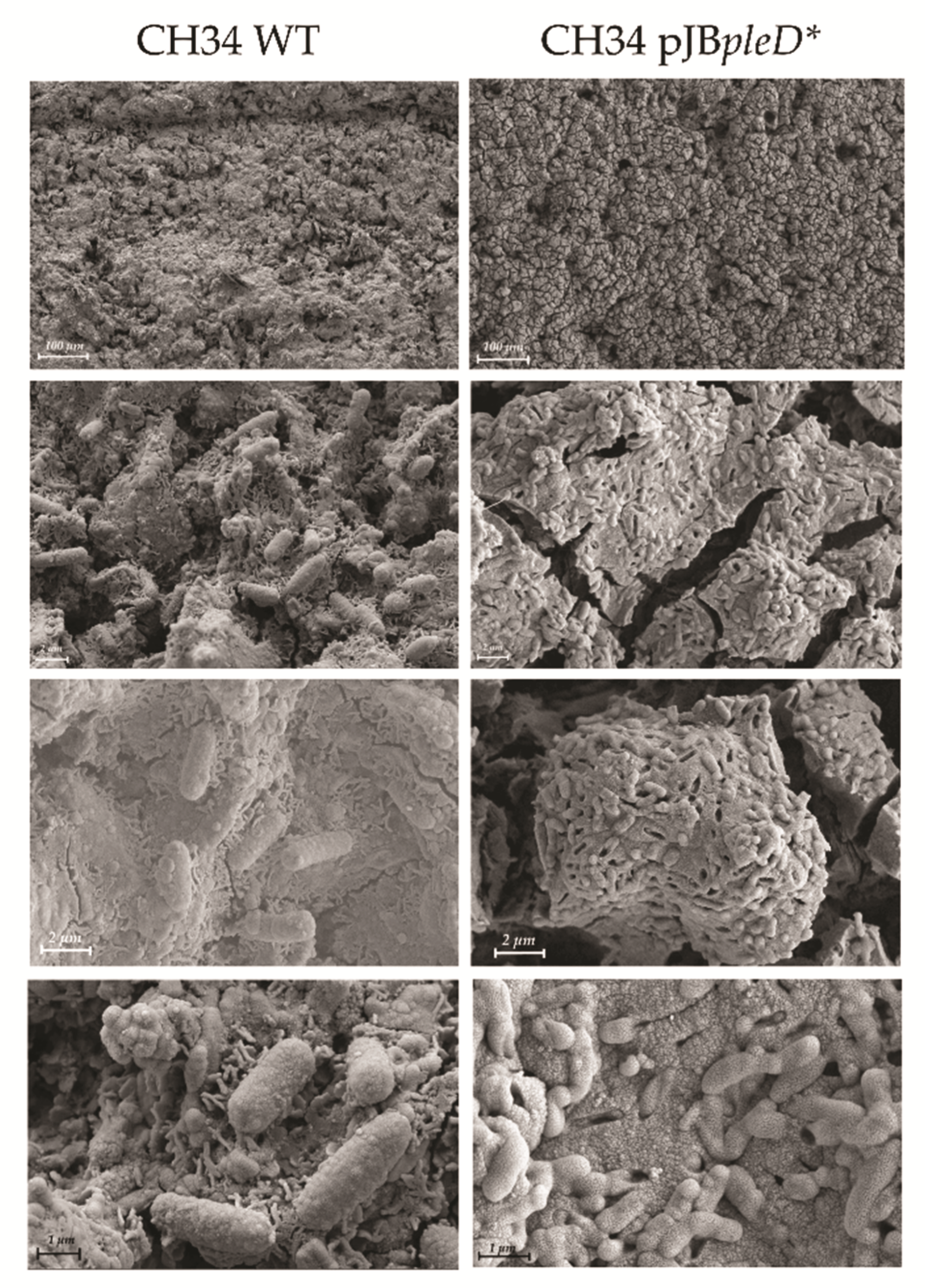 Environments 09 00080 g004