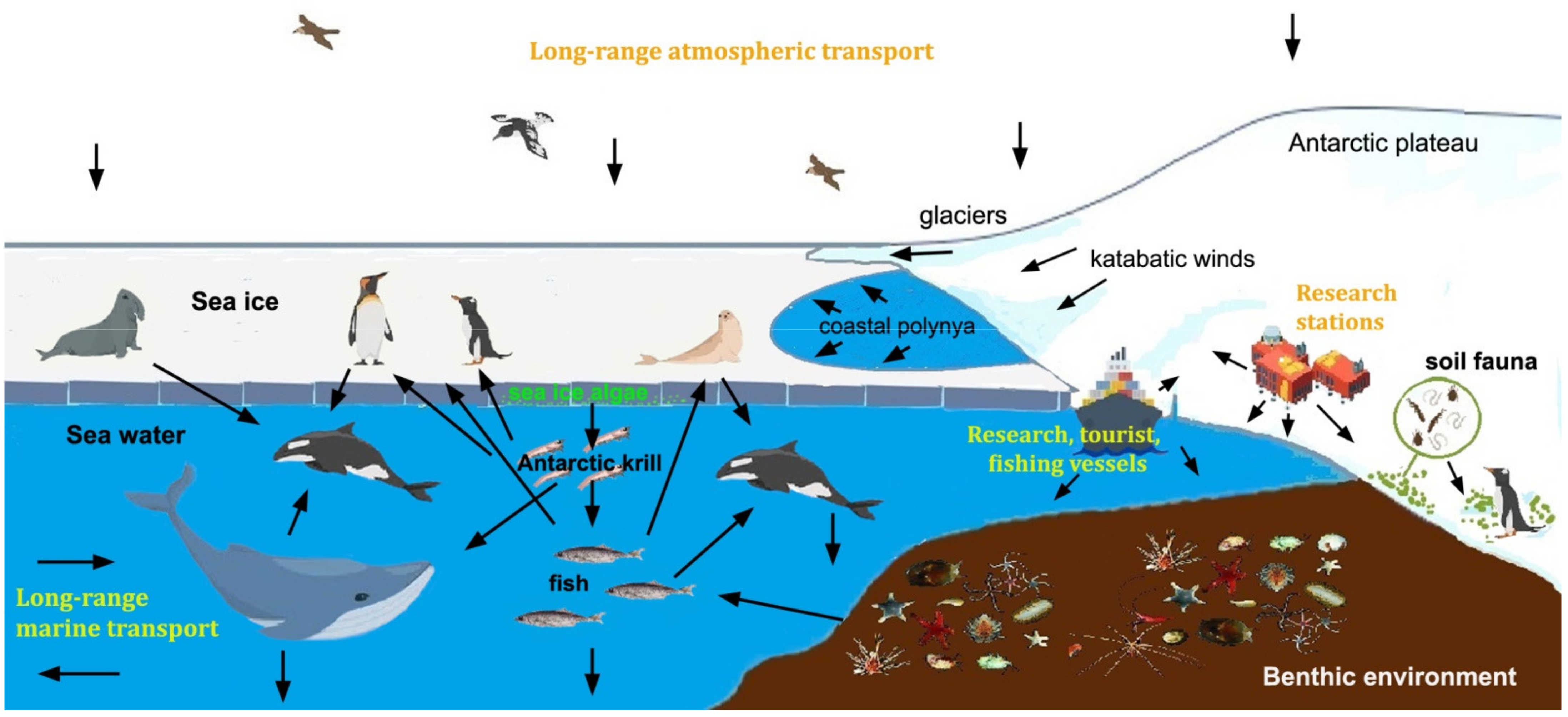 Environments | Free Full-Text | Macro- and Microplastics in the Antarctic Environment: Ongoing Assessment and Perspectives Environments | Free Full-Text | Macro- and Microplastics in the Antarctic Environment: Ongoing Assessment and Perspectives