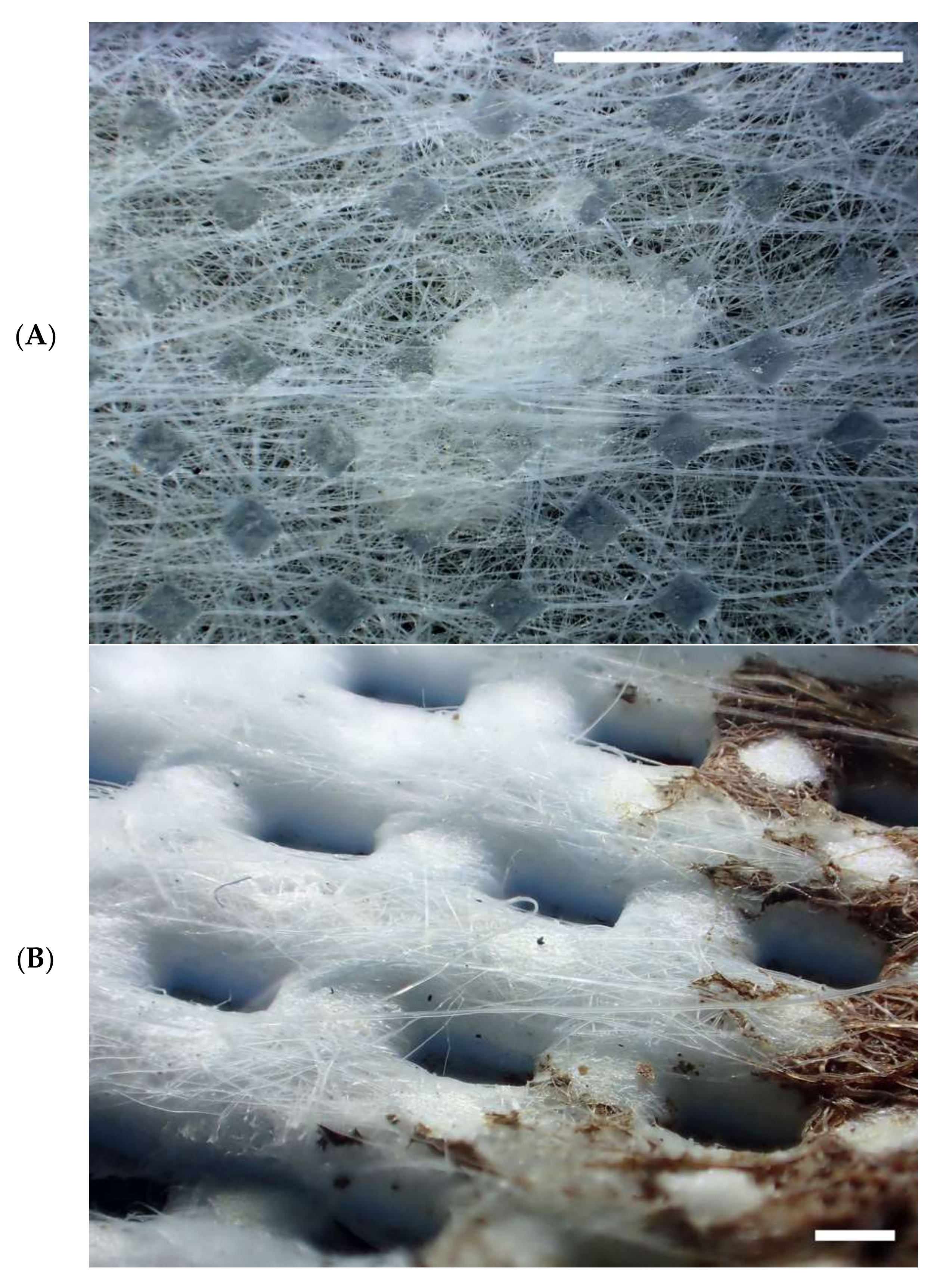 Environments 09 00094 g007a