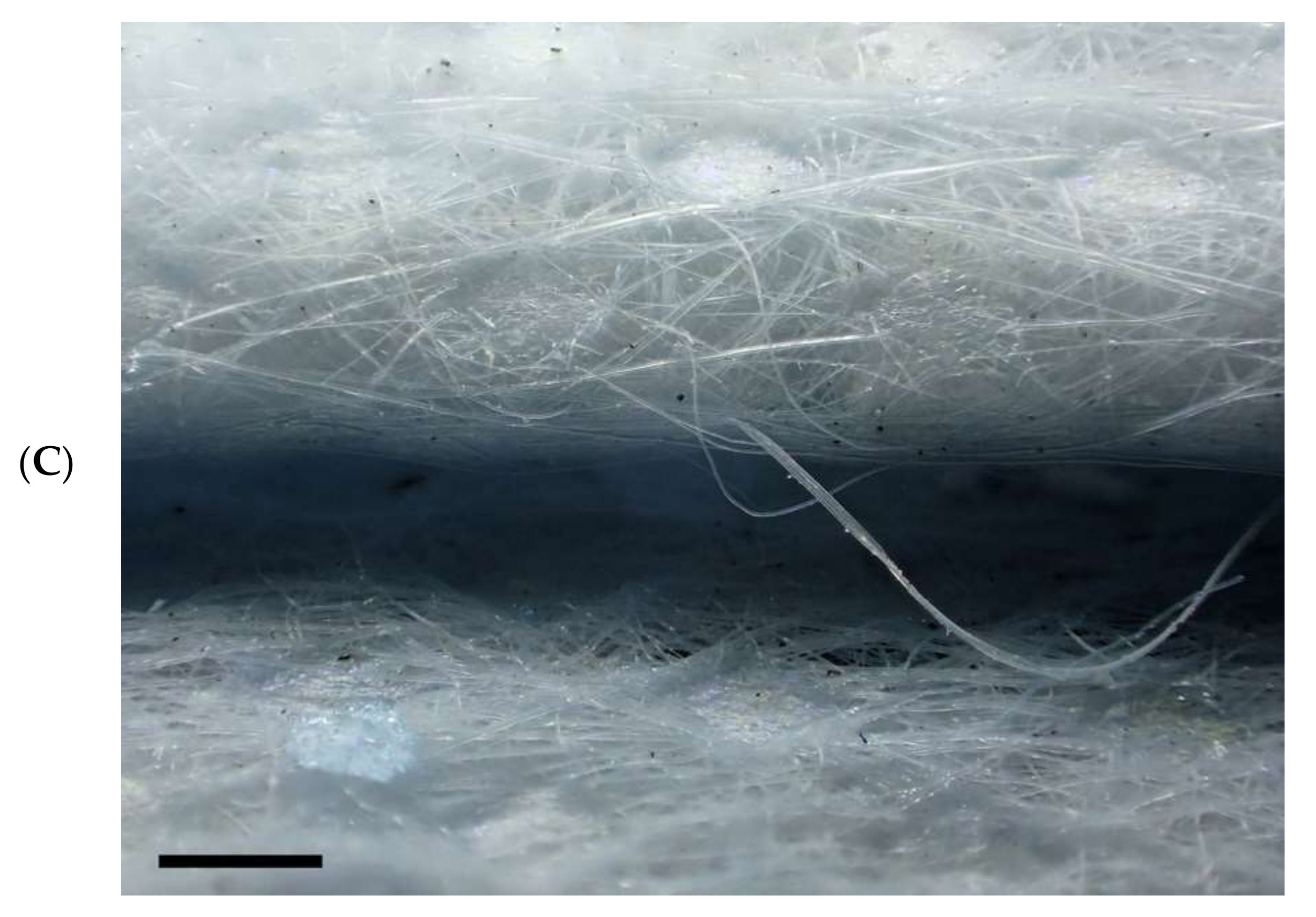 Environments 09 00094 g007b