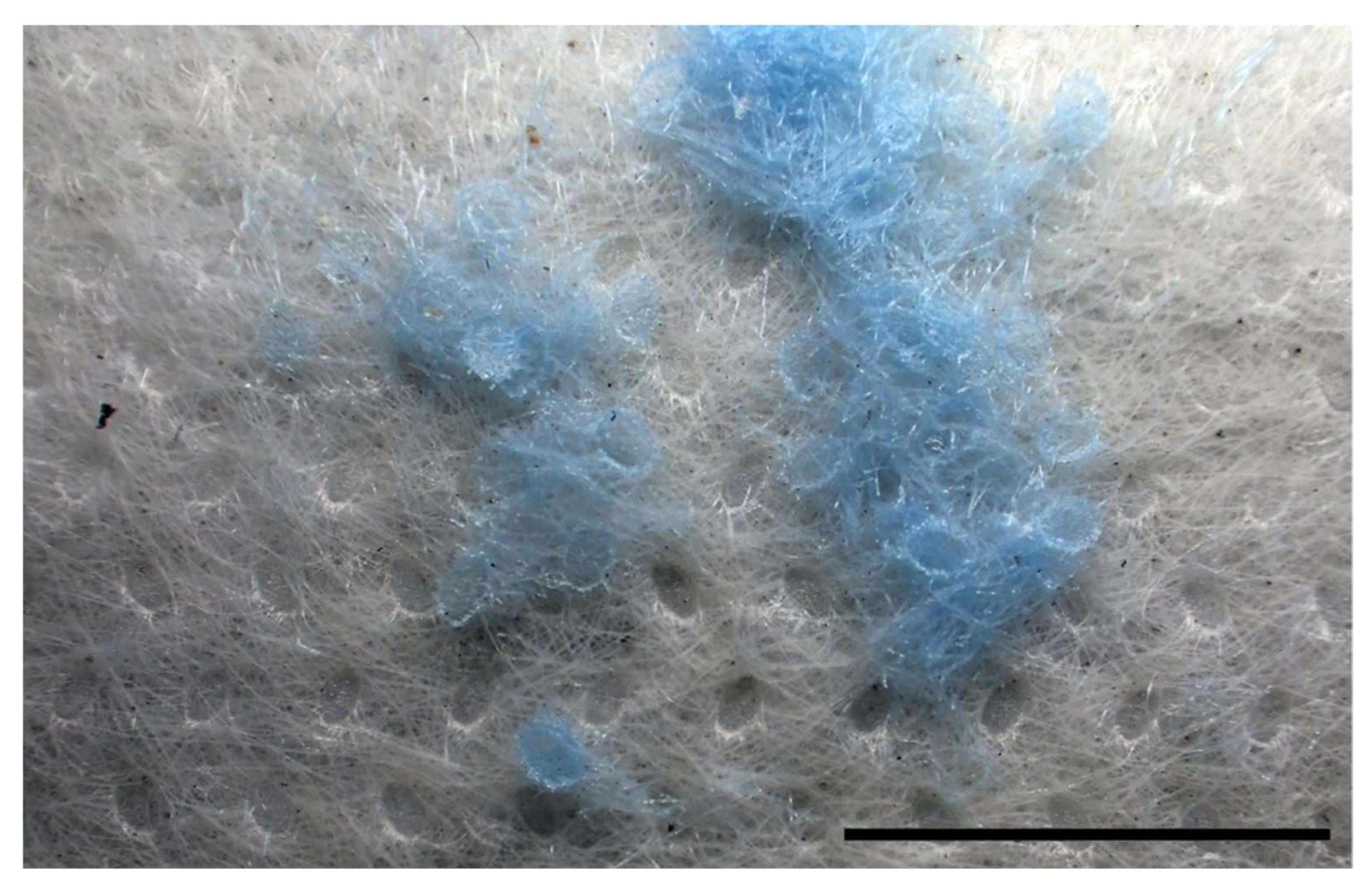 Environments 09 00094 g012